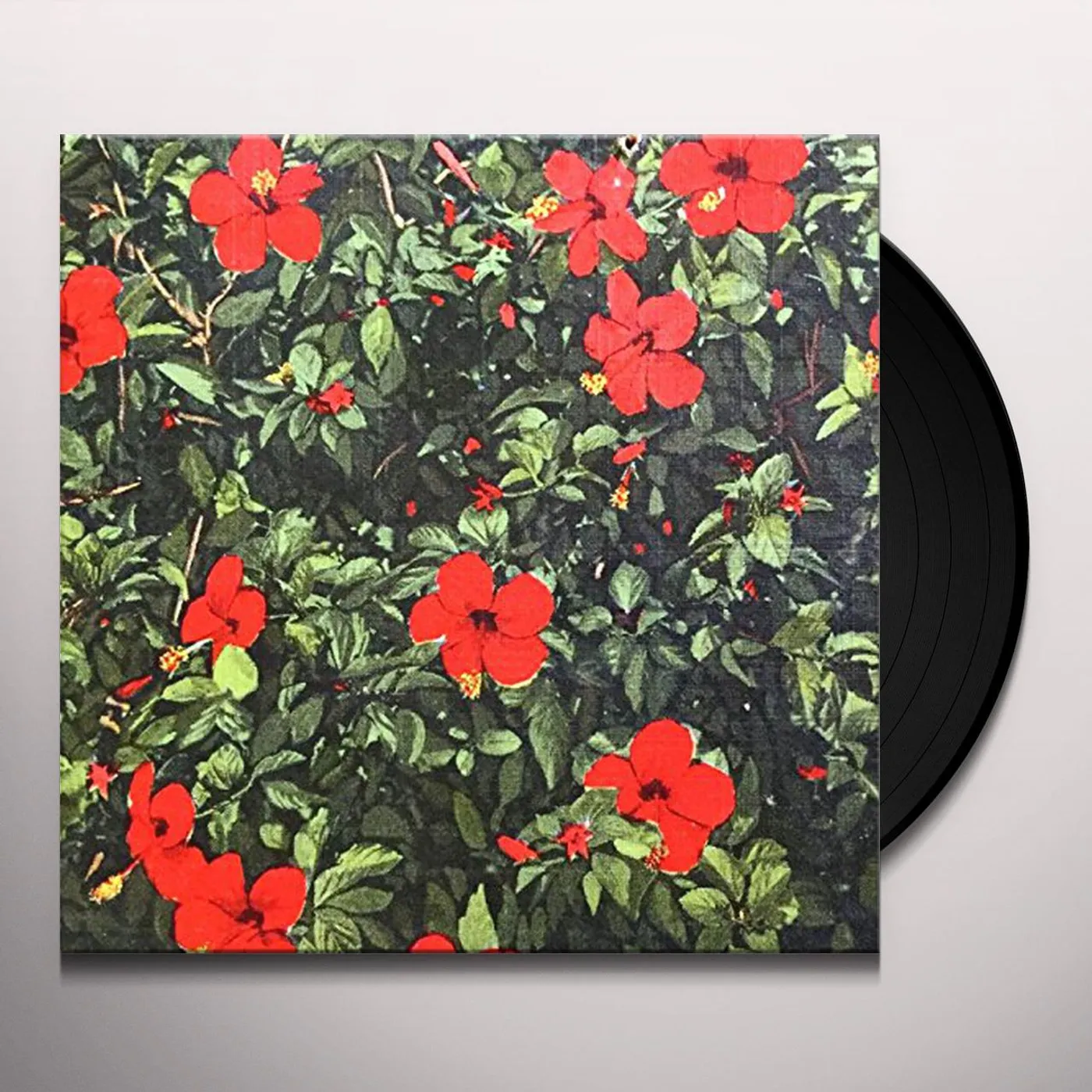 Real Live Tigers Denatured Vinyl Record