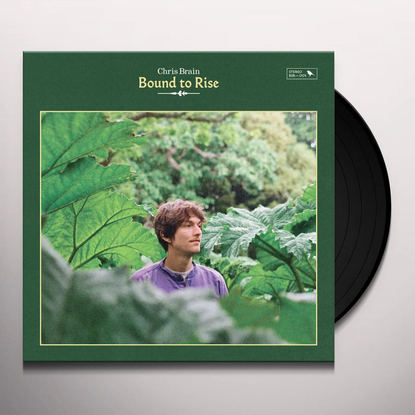 Chris Brain Bound to Rise Vinyl Record