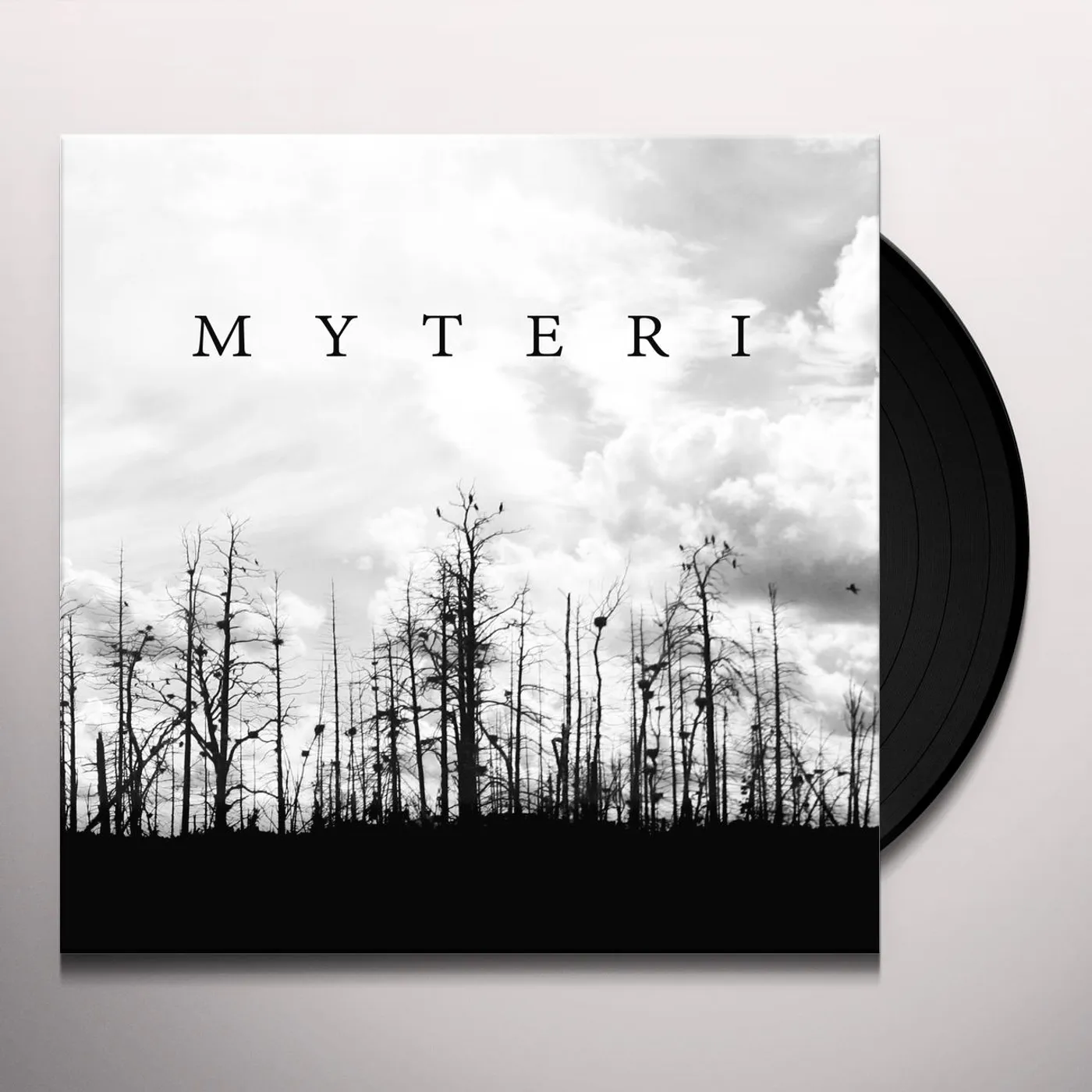 Myteri Vinyl Record