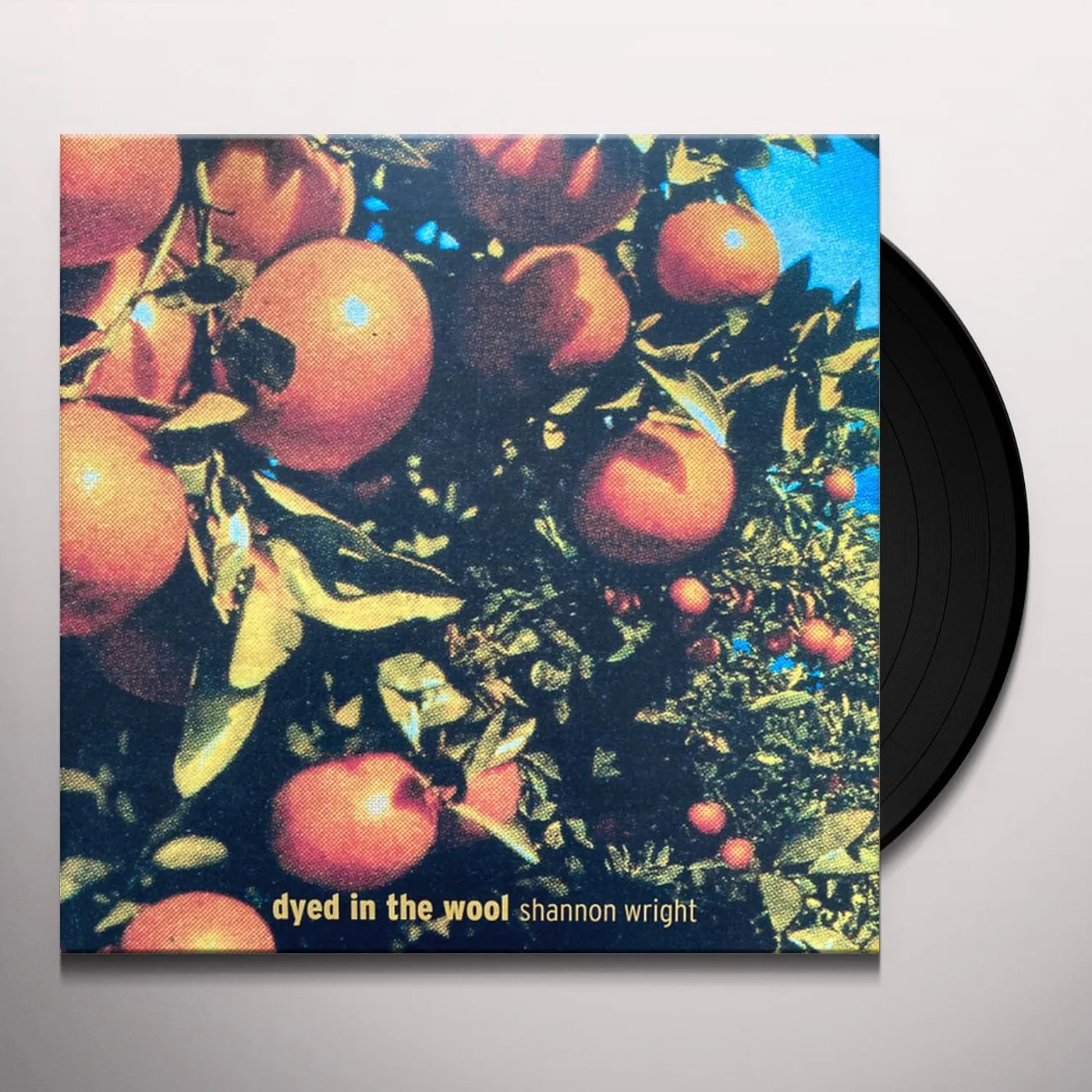 Shannon Wright DYED IN THE WOOL (CLEAR VINYL) Vinyl Record