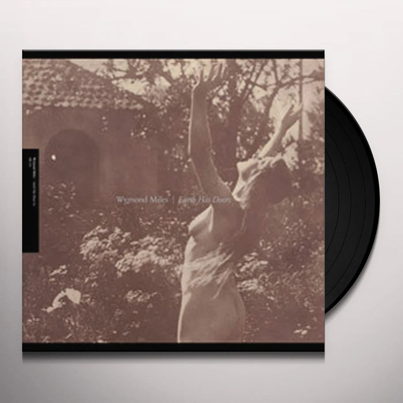 Wymond Miles Earth Has Doors Vinyl Record