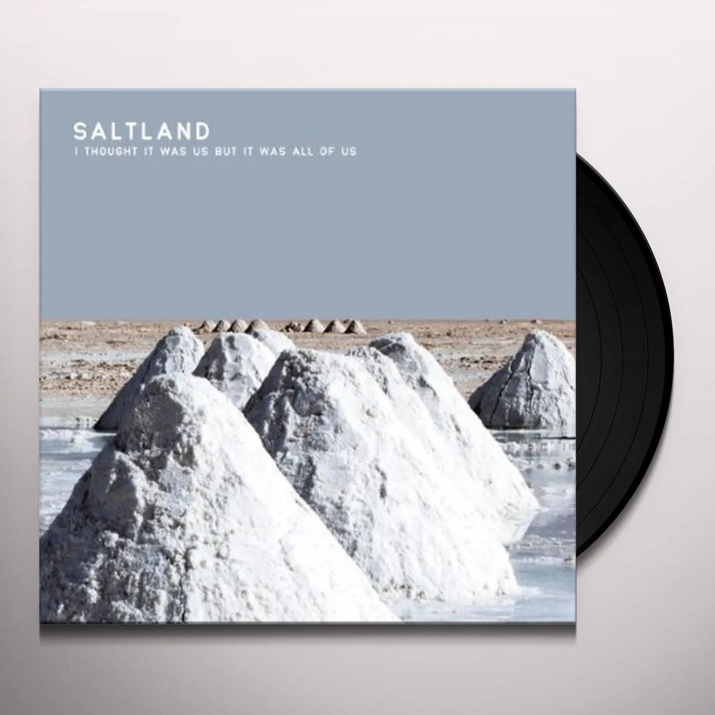 Saltland I Thought It Was Us But It Was All Of Us Vinyl Record