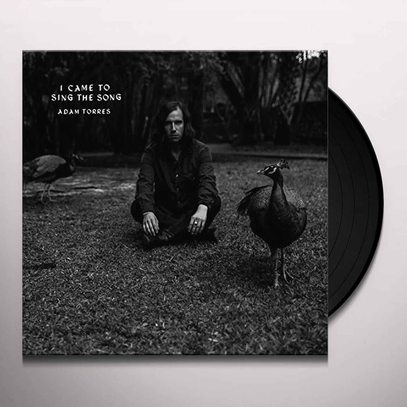 Adam Torres I Came to Sing the Song Vinyl Record