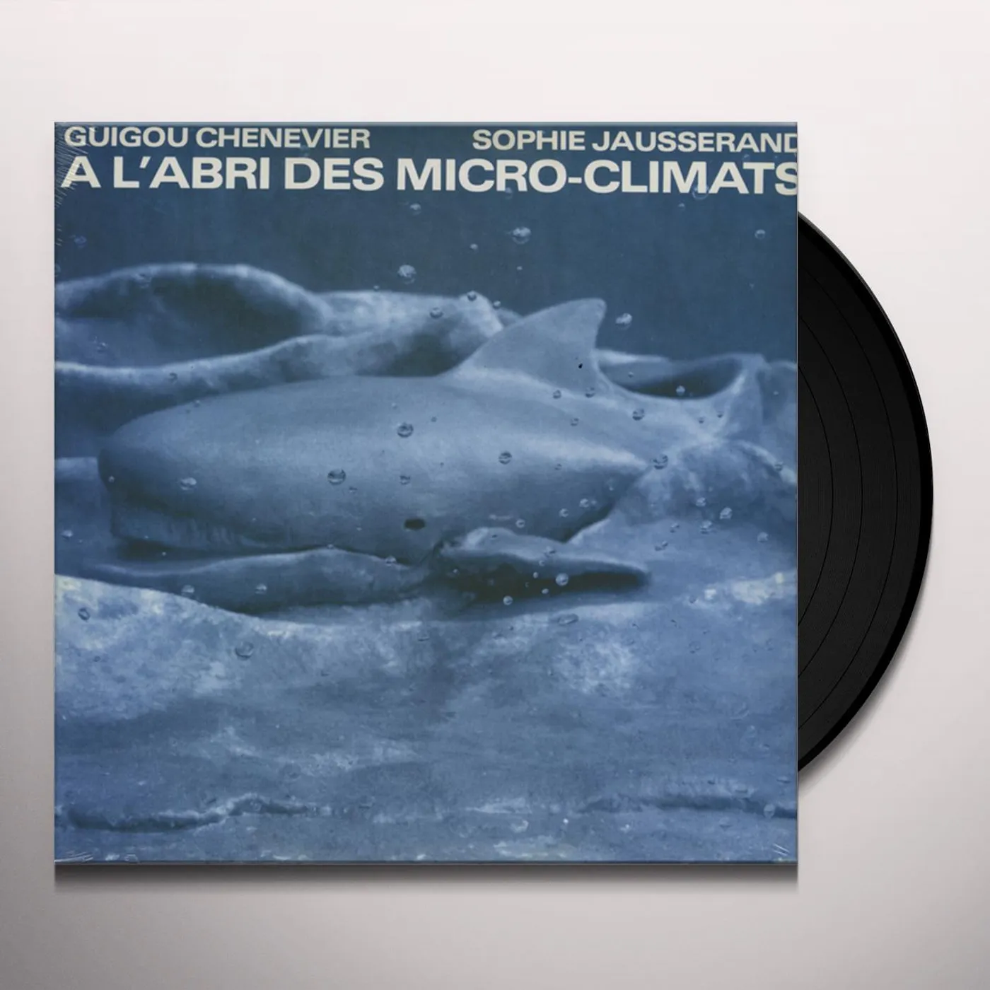 Guigou Chenevier A L'ABRI DES MICRO CLIMATS Vinyl Record