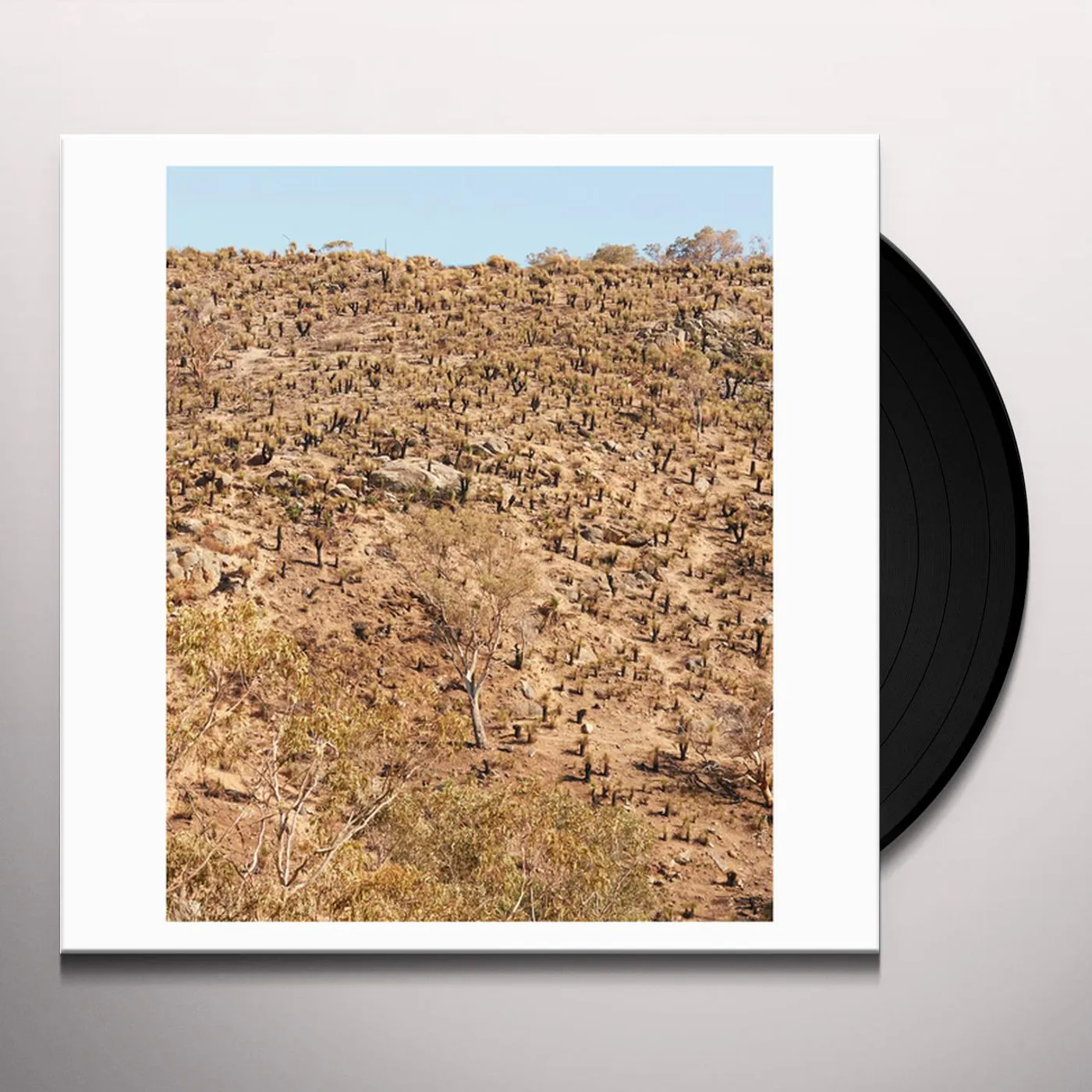 Andrew Pekler & Giuseppe Ielasi Palimpsests Vinyl Record