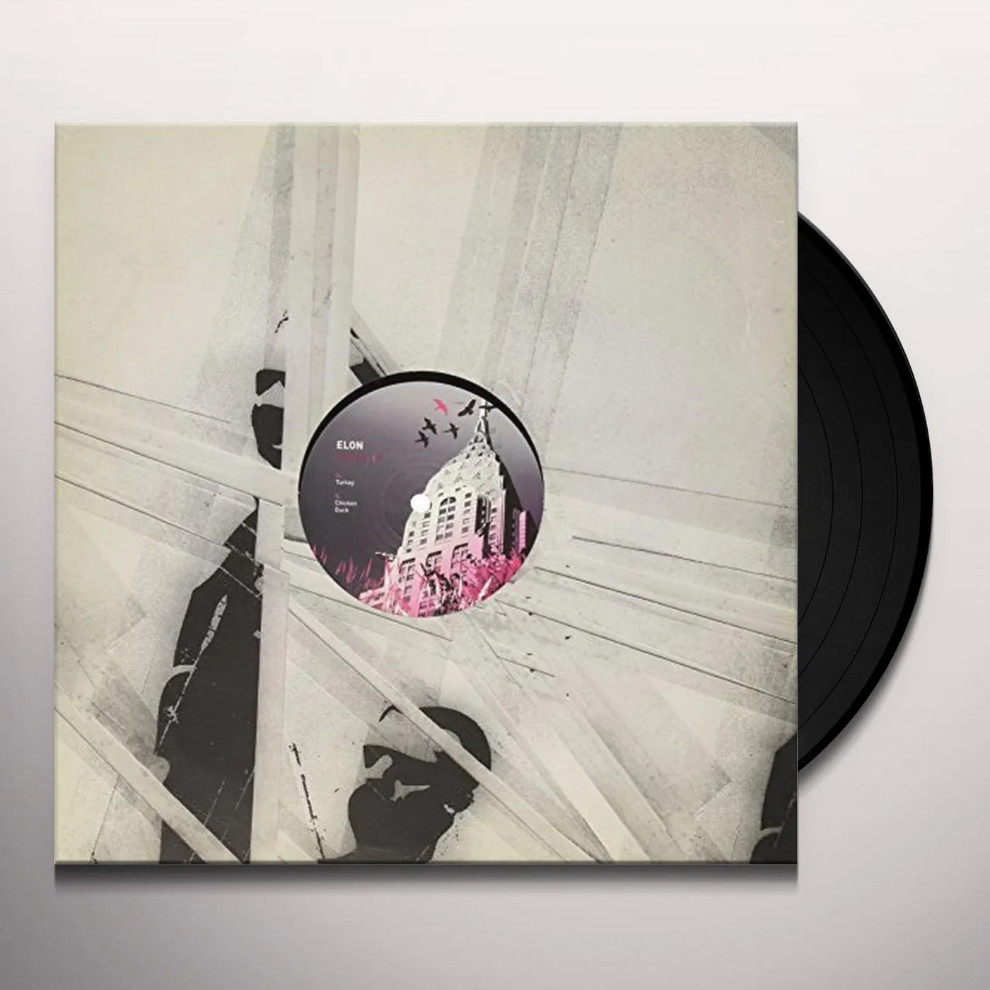 Elon BIRDS Vinyl Record