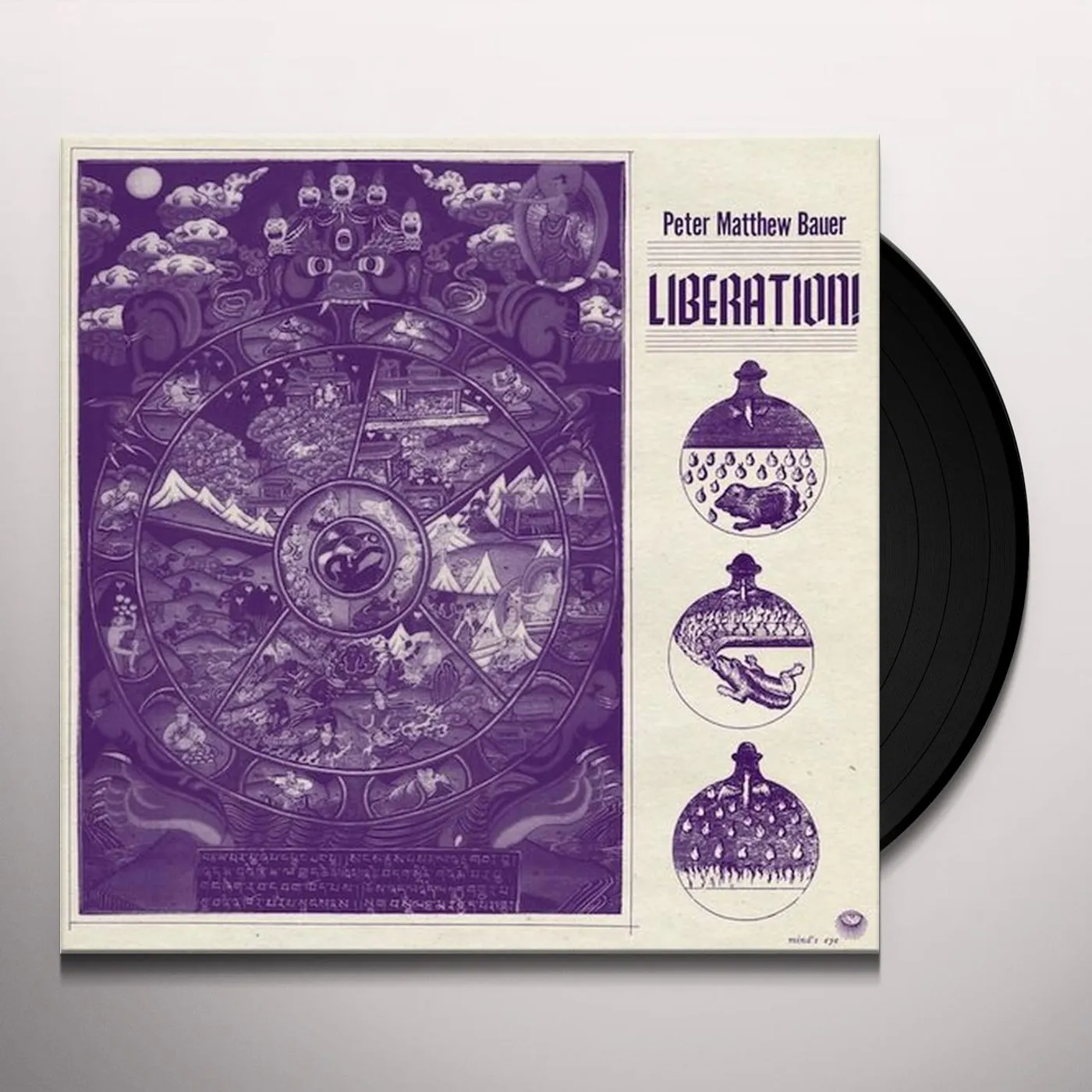Peter Matthew Bauer LIBERATION Vinyl Record