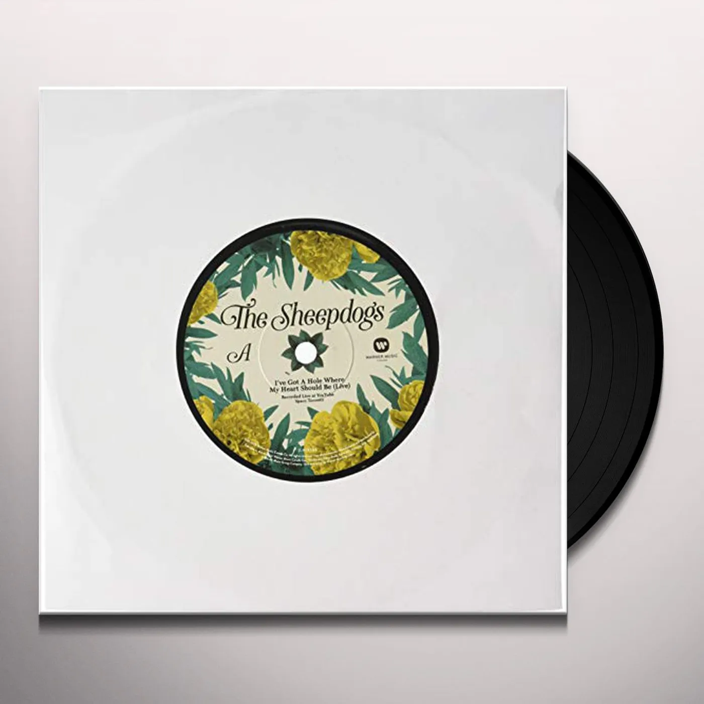 The Sheepdogs I'VE GOT A HOLE WHERE MY HEART SHOULD BE (LIVE) Vinyl Record