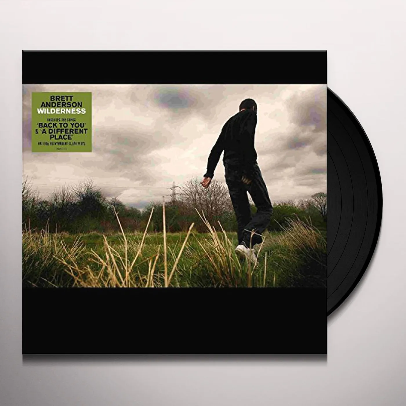 Brett Anderson WILDERNESS (COLOURED VINYL) Vinyl Record
