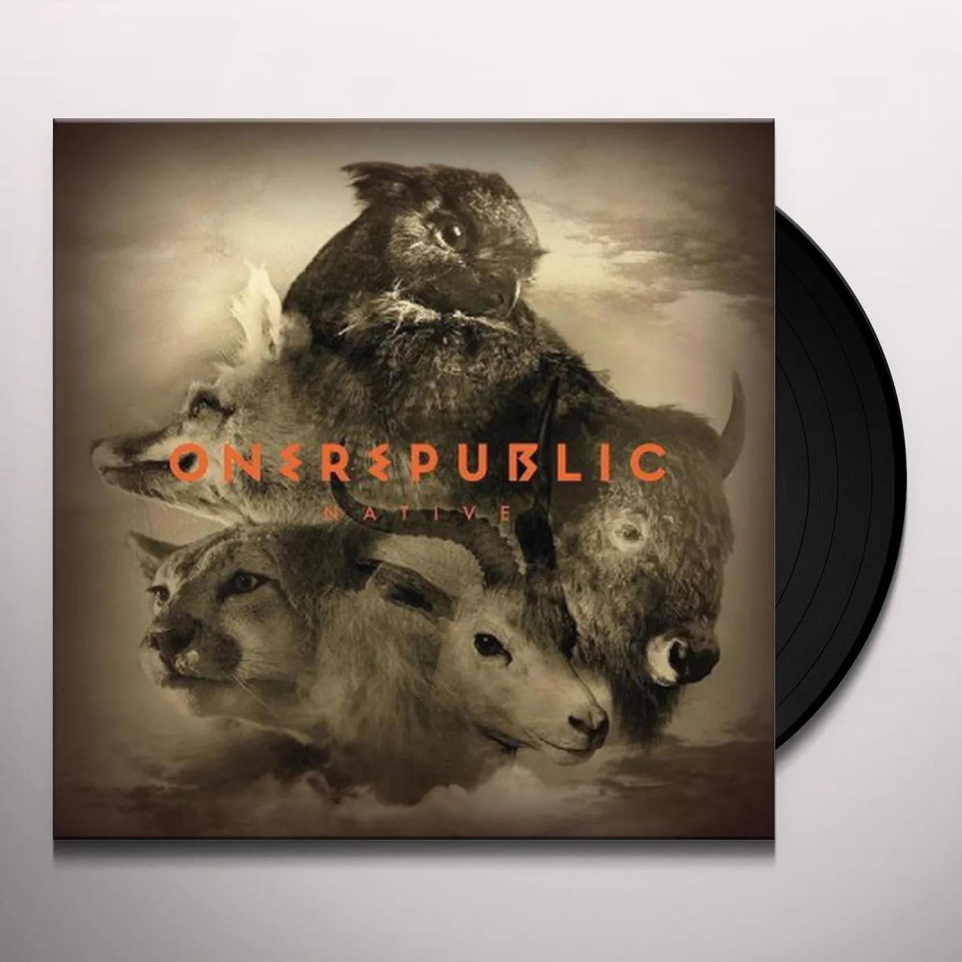 OneRepublic Native Vinyl Record