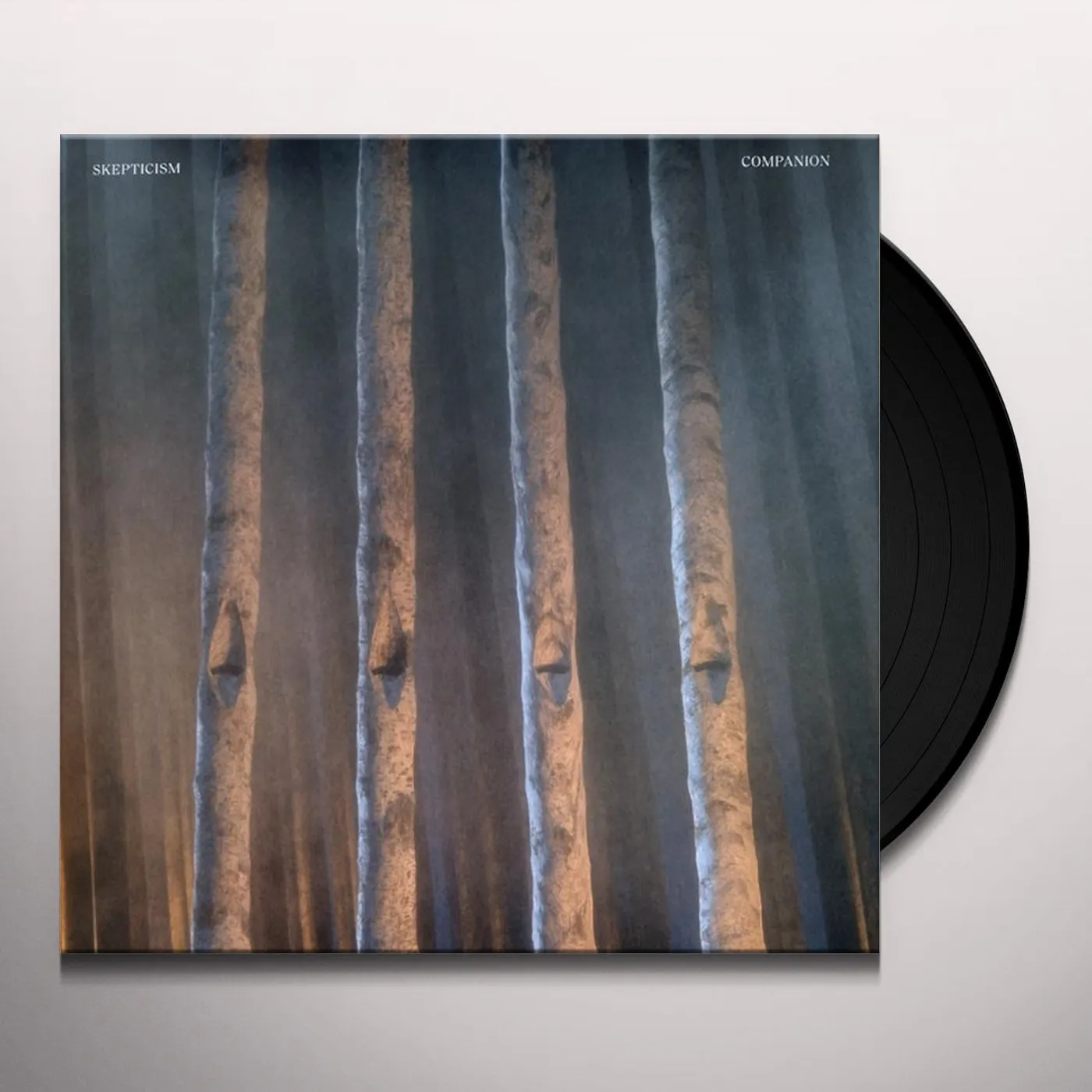 Skepticism Companion Vinyl Record