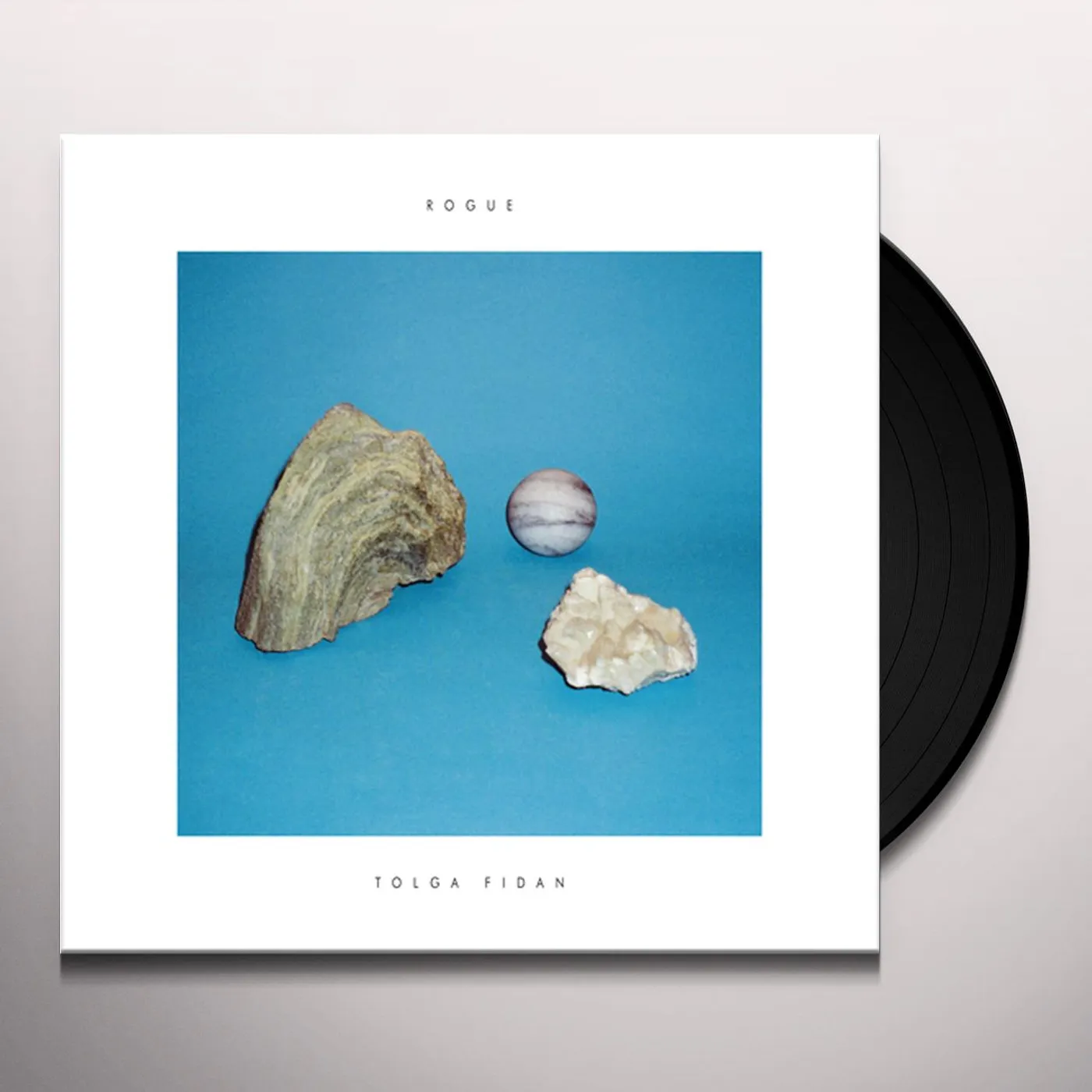 Tolga Fidan Rogue Vinyl Record