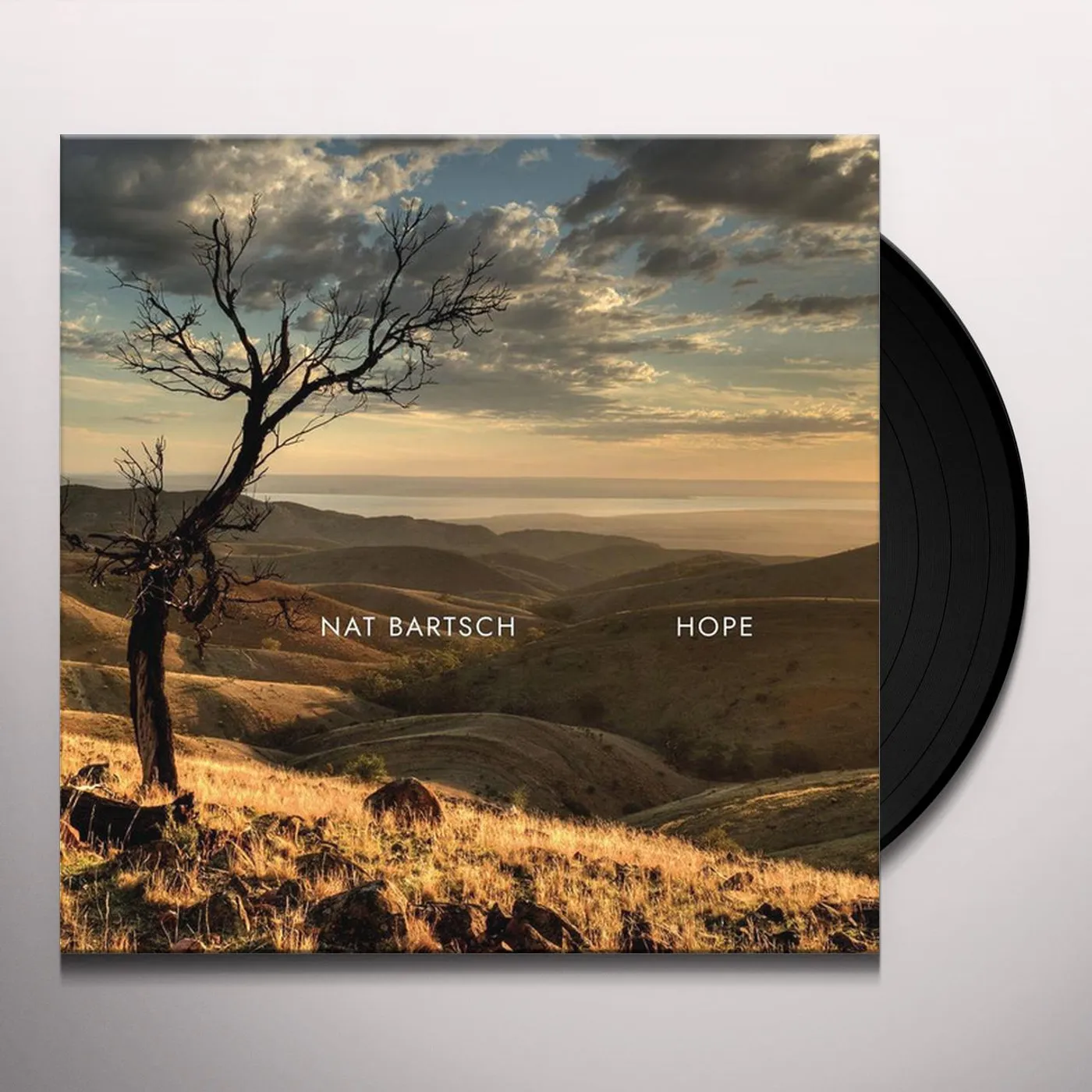Nat Bartsch Hope Vinyl Record