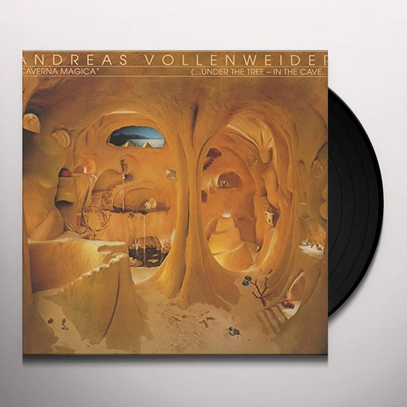 Andreas Vollenweider Caverna Magica Vinyl Record