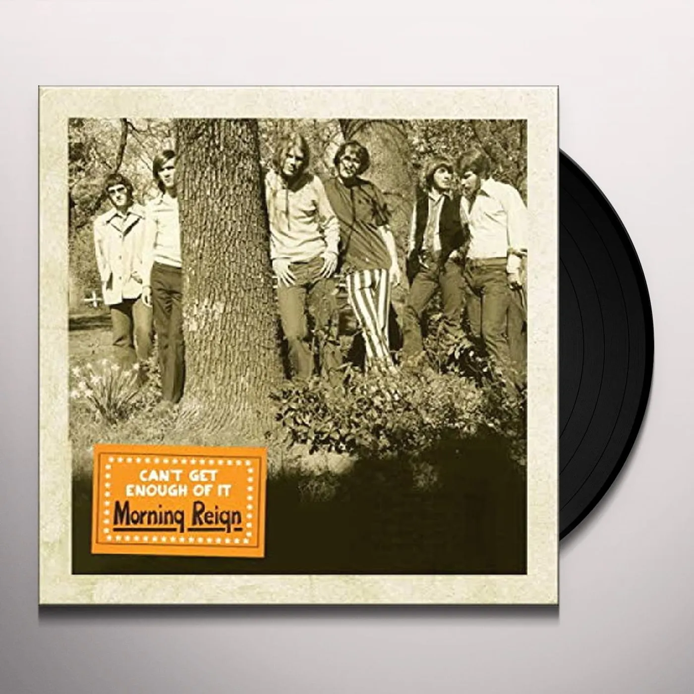 Morning Reign Can't Get Enough of It Vinyl Record