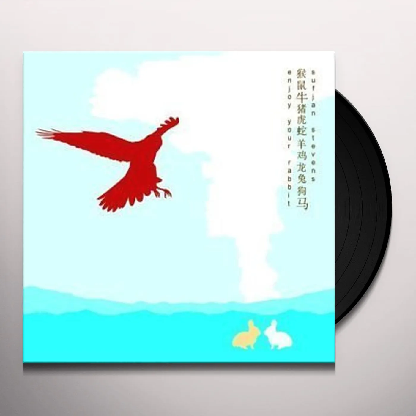 Sufjan Stevens Enjoy Your Rabbit Vinyl Record