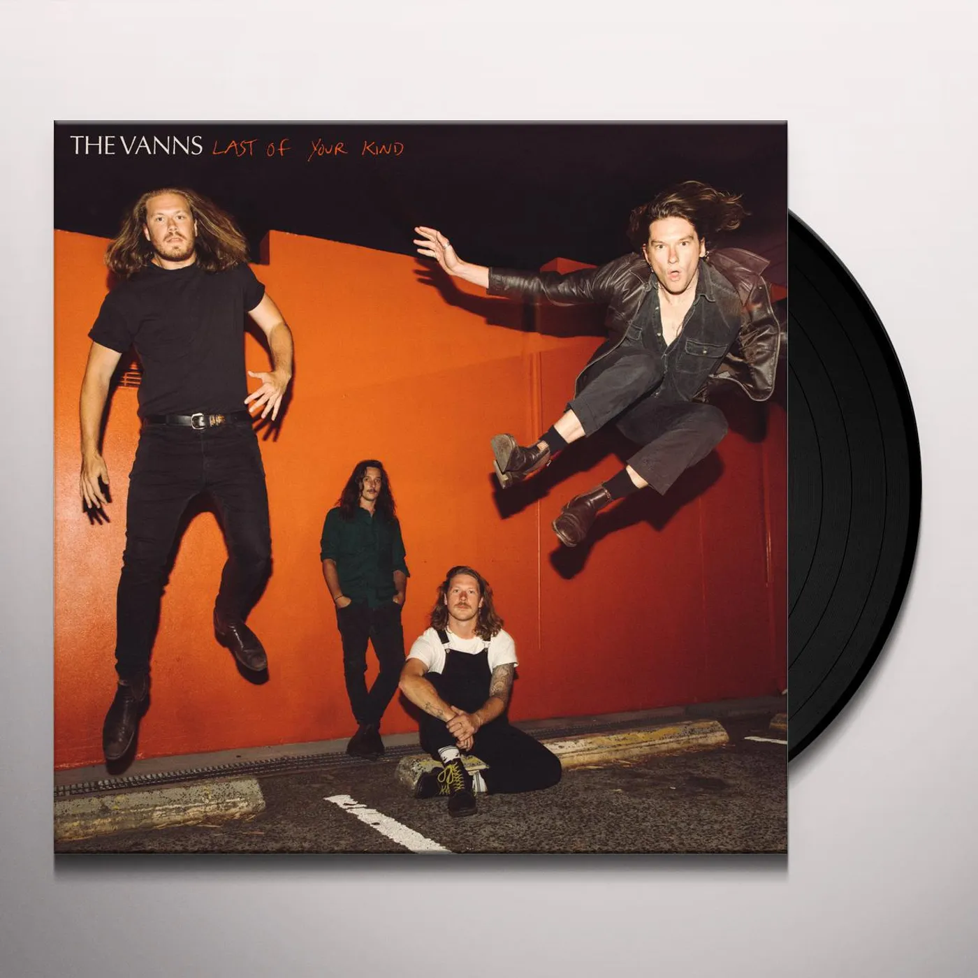 The Vanns LAST OF YOUR KIND Vinyl Record