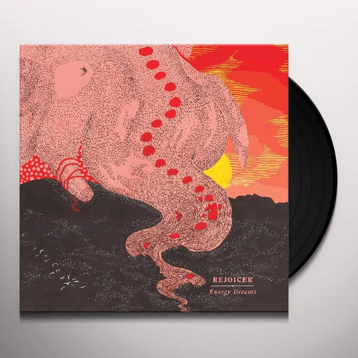 Rejoicer Energy Dreams Vinyl Record