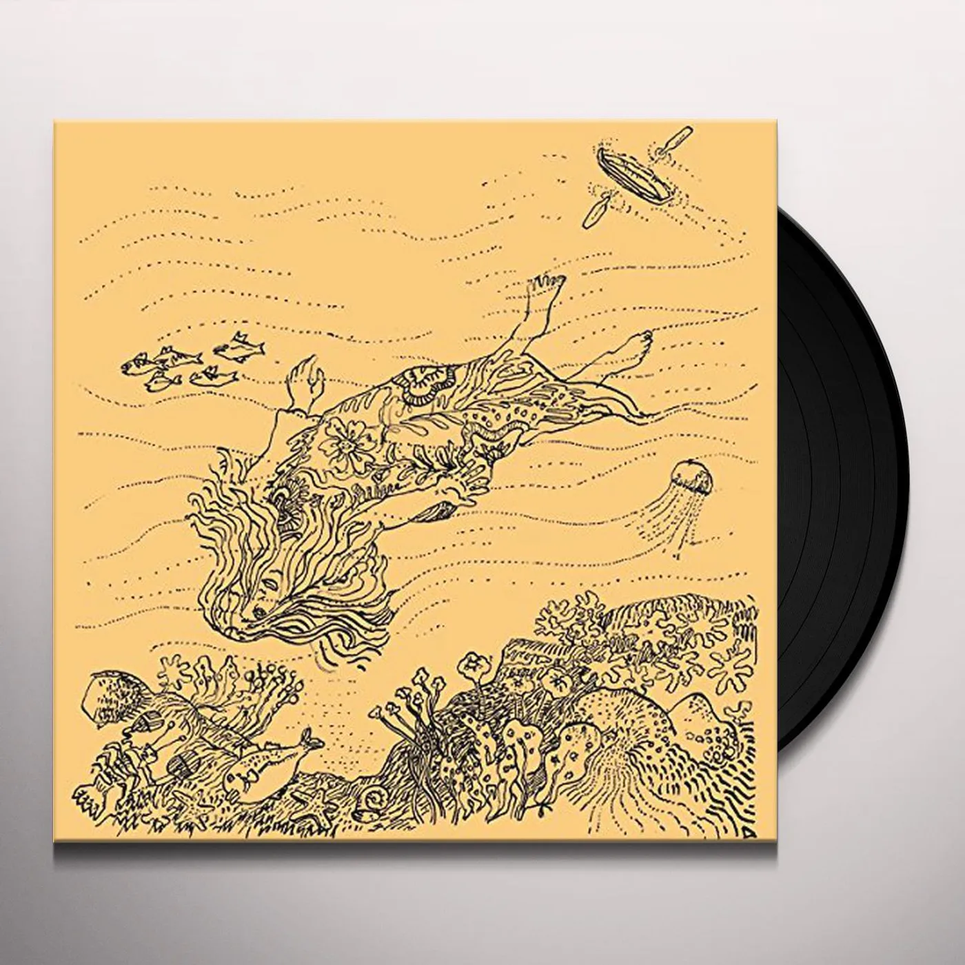 Needlepoint DIARY OF ROBERT REVERIE Vinyl Record