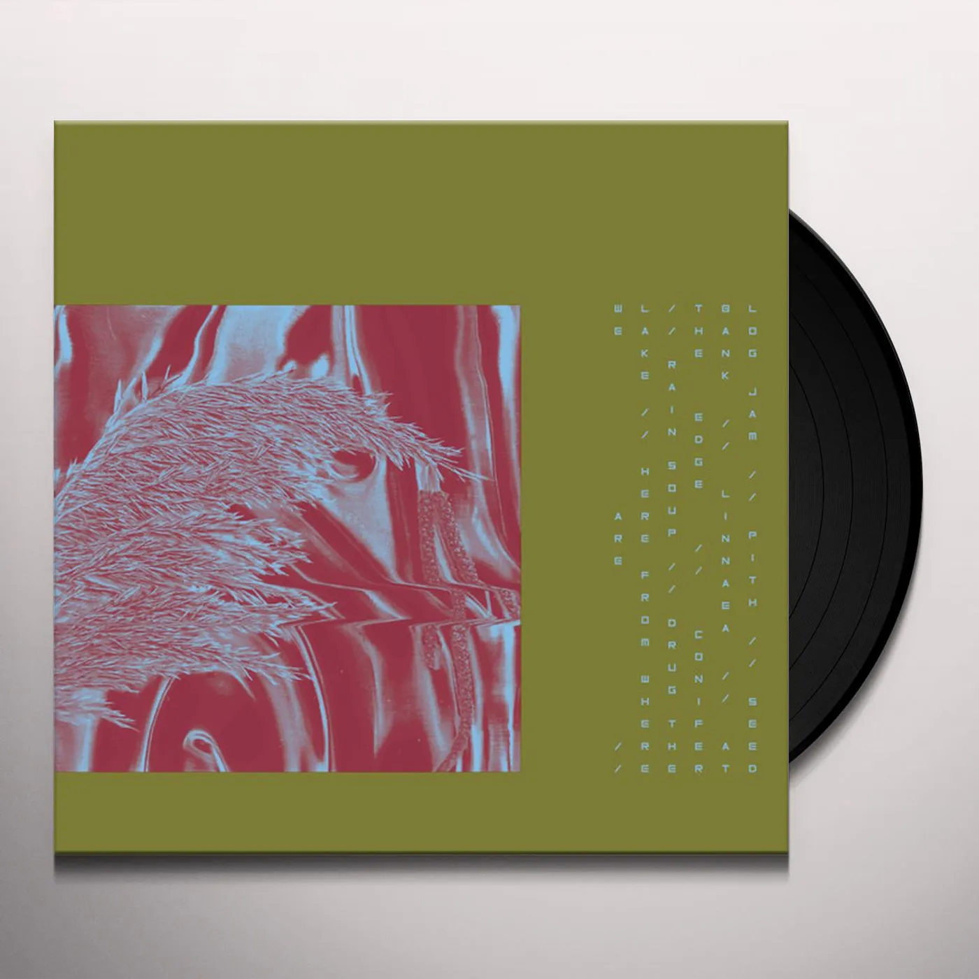 Pariah Here From Where We Are Vinyl Record