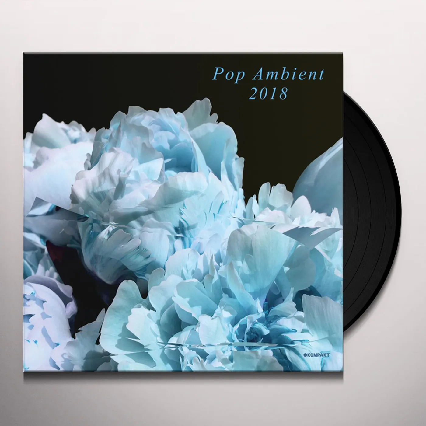 POP AMBIENT 2018 / VARIOUS Vinyl Record