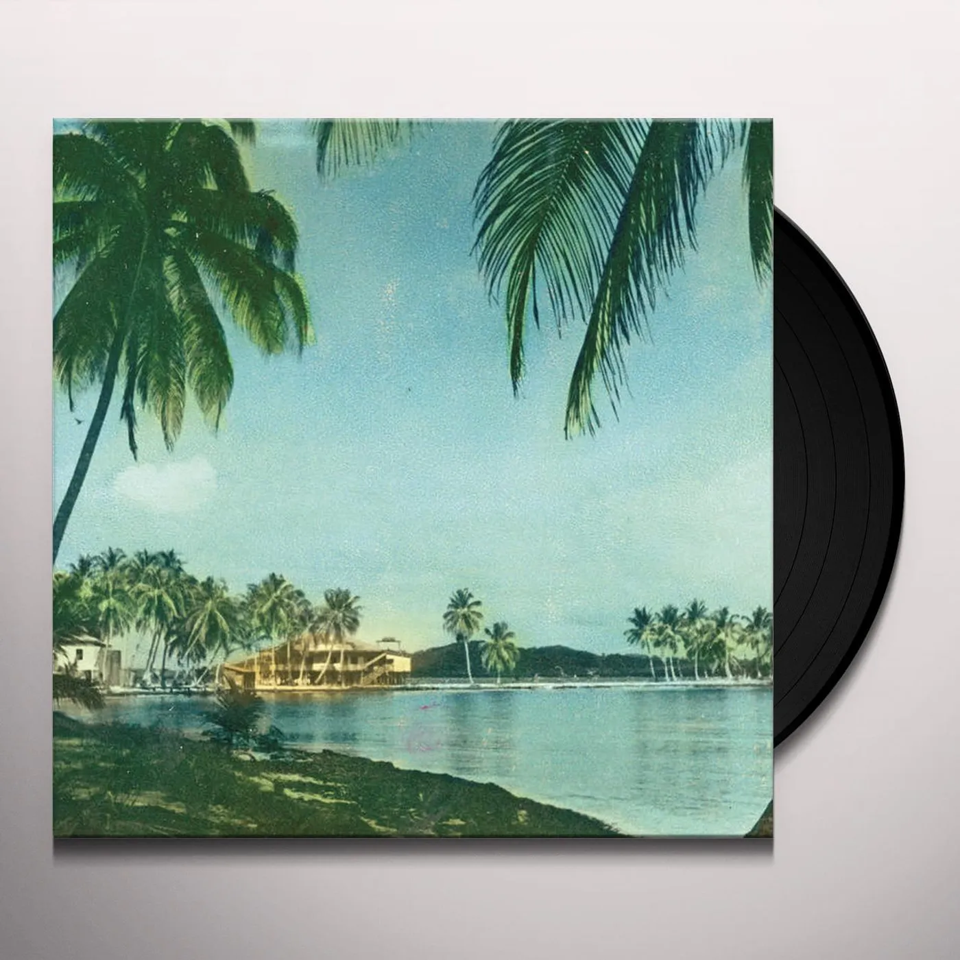 Celer MALARIA Vinyl Record