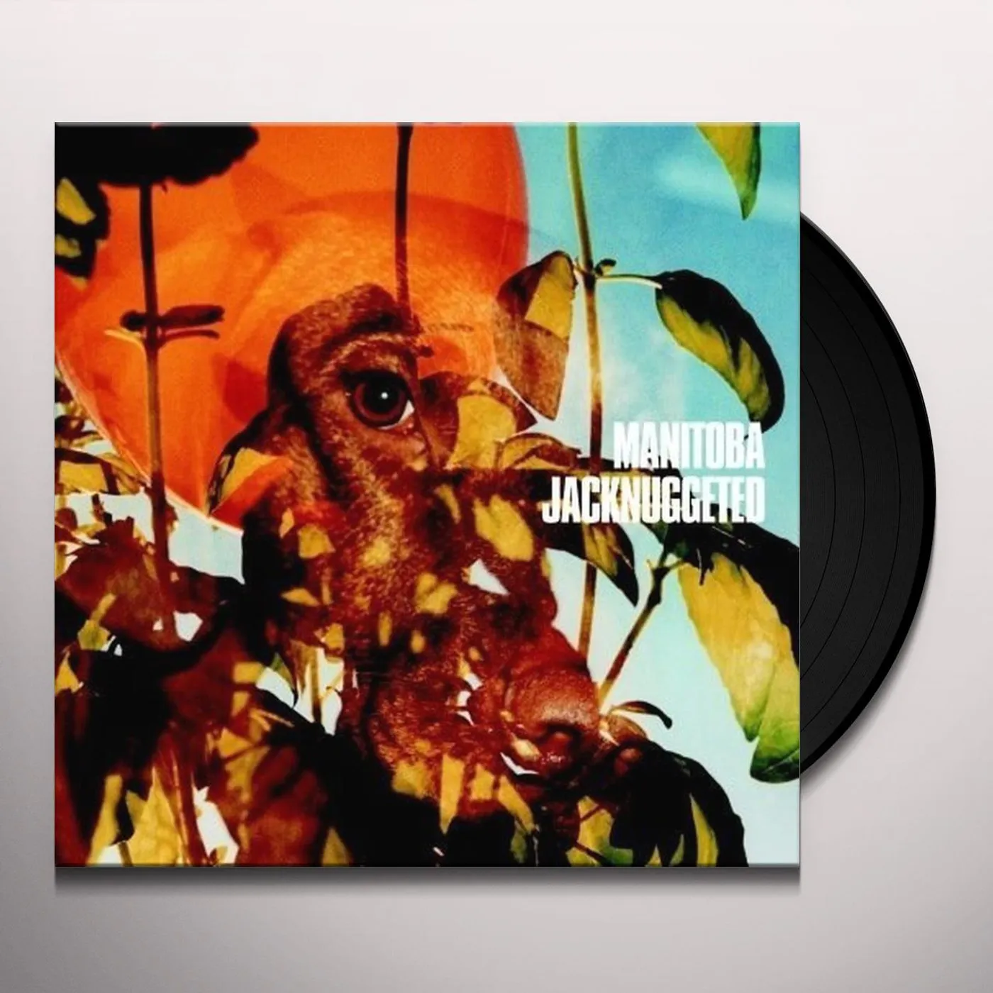 Manitoba Jacknuggeted Vinyl Record