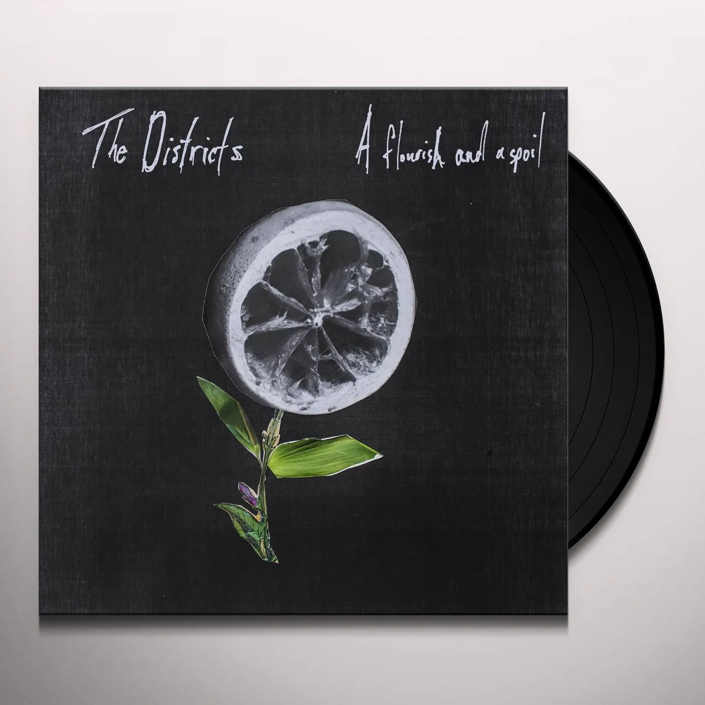 The Districts FLOURISH & A SPOIL: LIMITED Vinyl Record