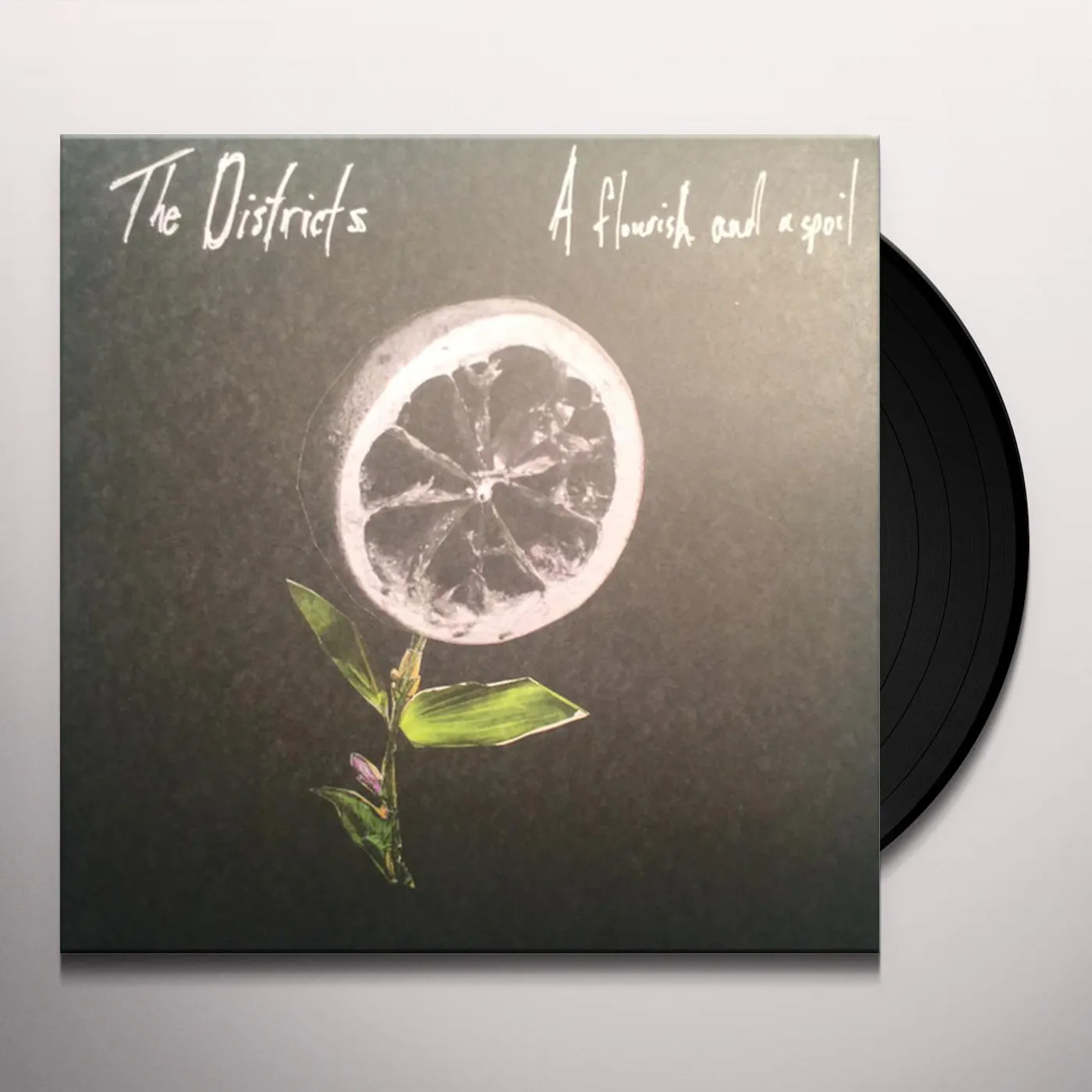 The Districts FLOURISH AND SPOIL Vinyl Record