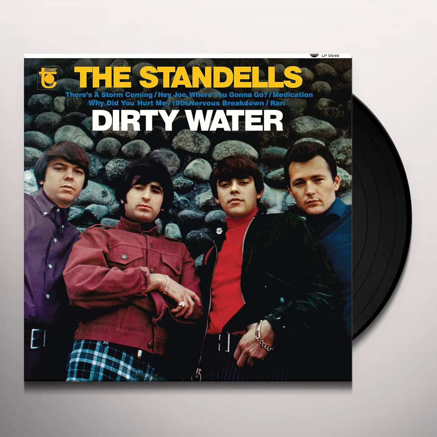 The Standells Dirty Water Vinyl Record