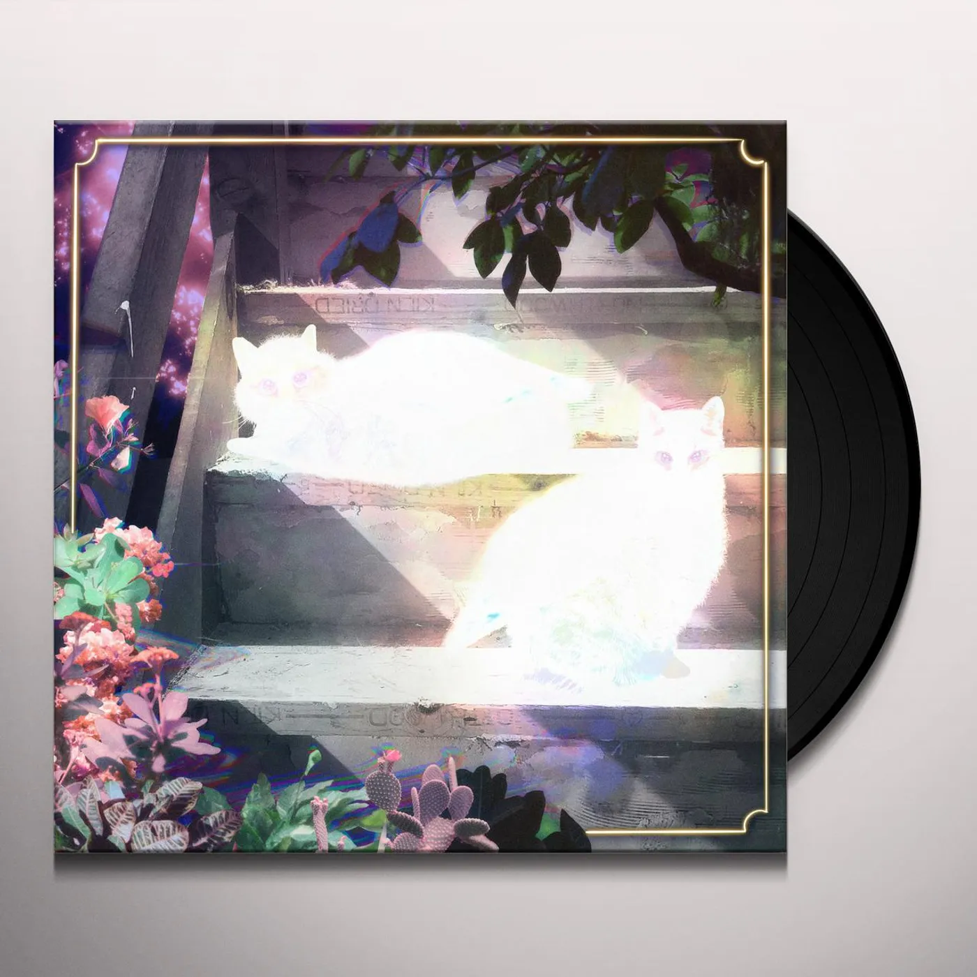 The Scary Jokes RETINAL BLOOM Vinyl Record