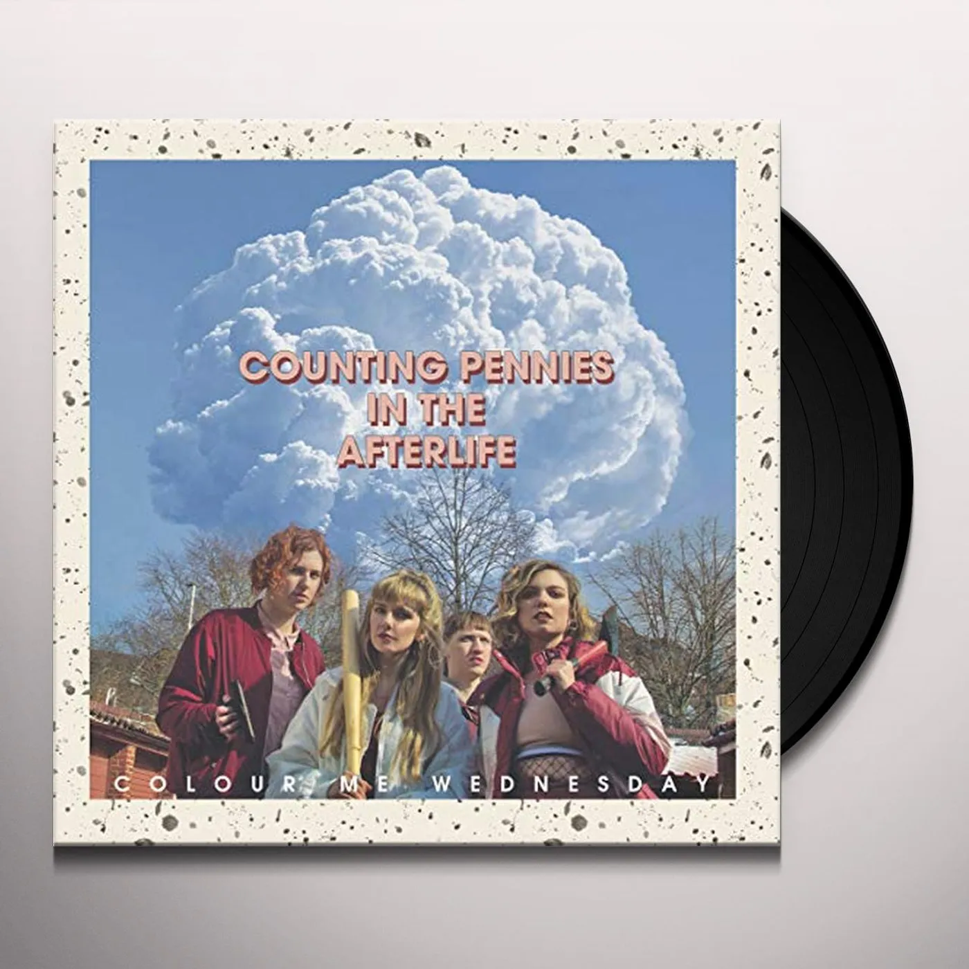 Colour Me Wednesday Counting Pennies in the Afterlife Vinyl Record
