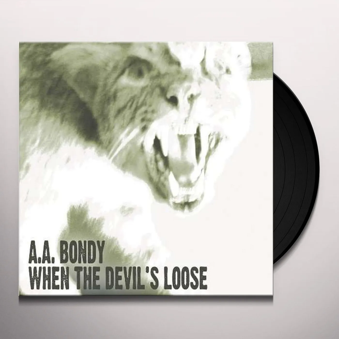 A.A. Bondy When The Devil's Loose Vinyl Record