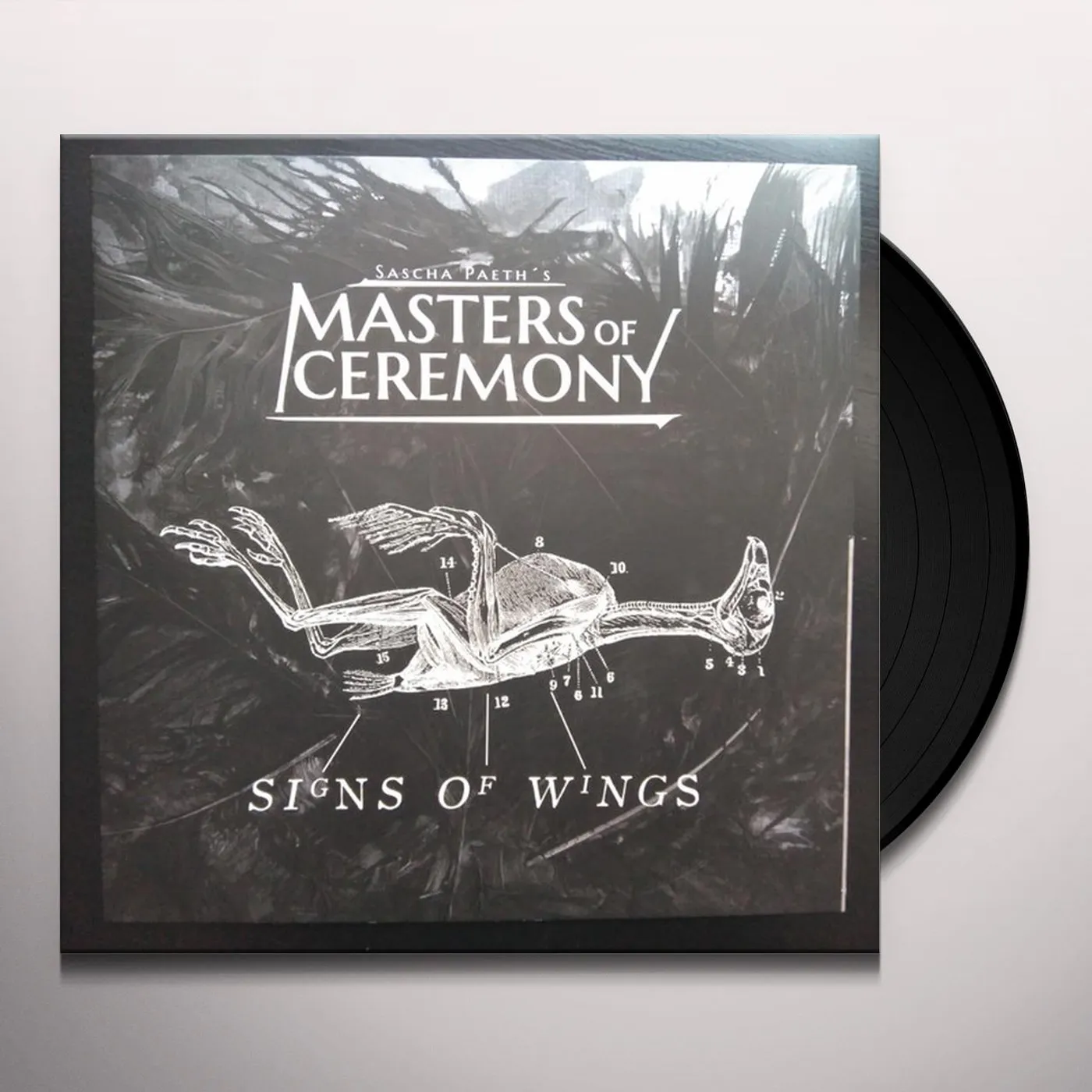 Sascha Paeth's Masters Of Ceremony Signs of Wings Vinyl Record