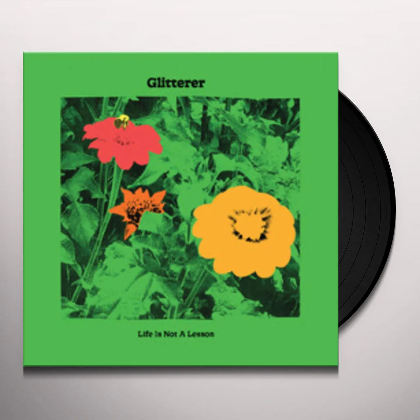 Glitterer Life Is Not A Lesson Vinyl Record