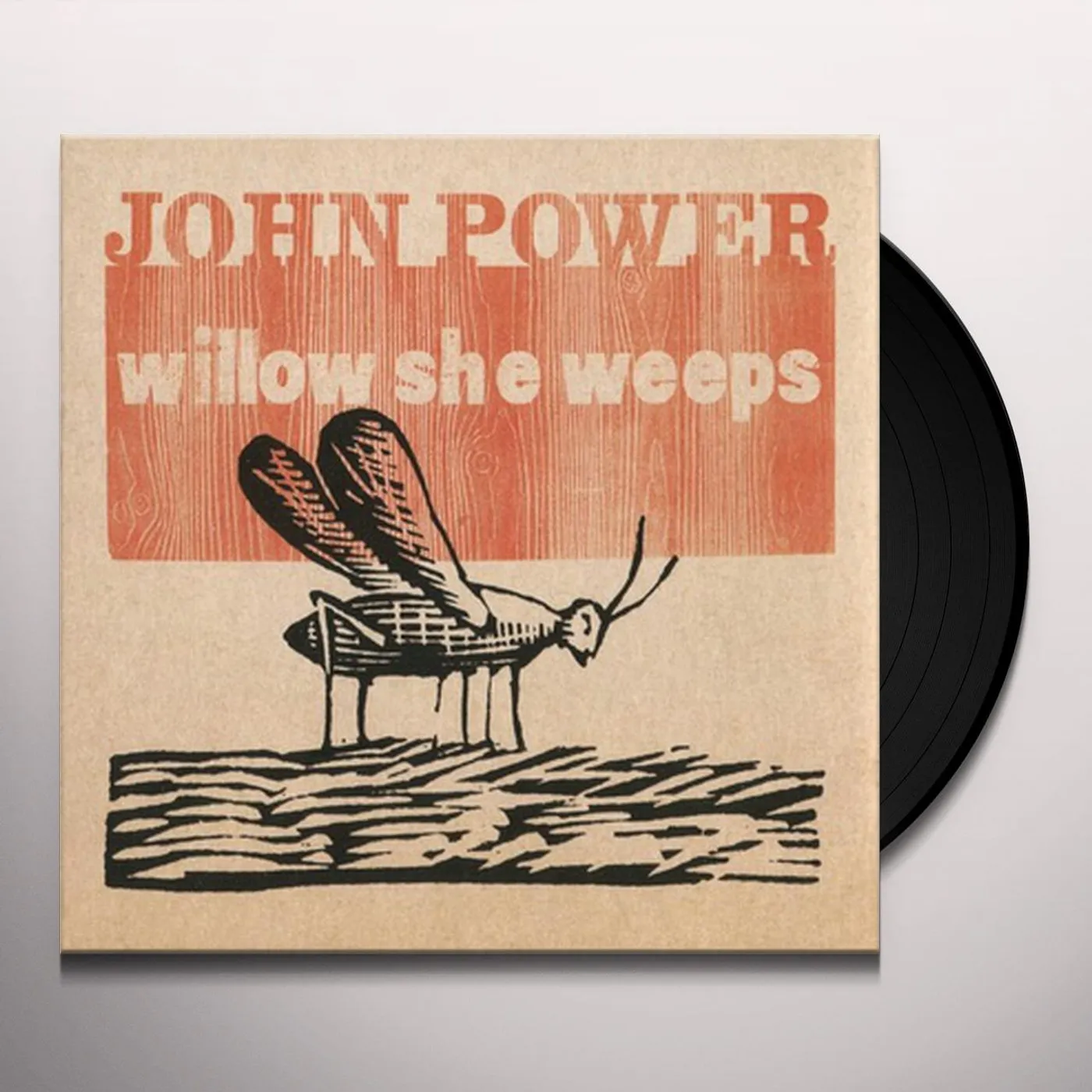 John Power Willow She Weeps Vinyl Record