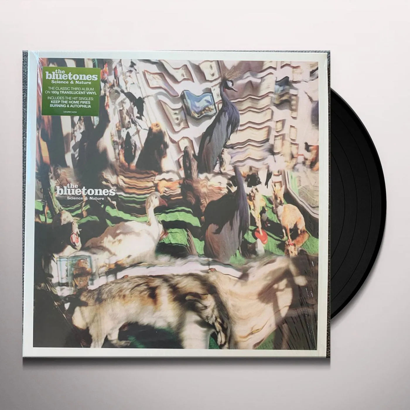 The Bluetones Science & Nature Vinyl Record