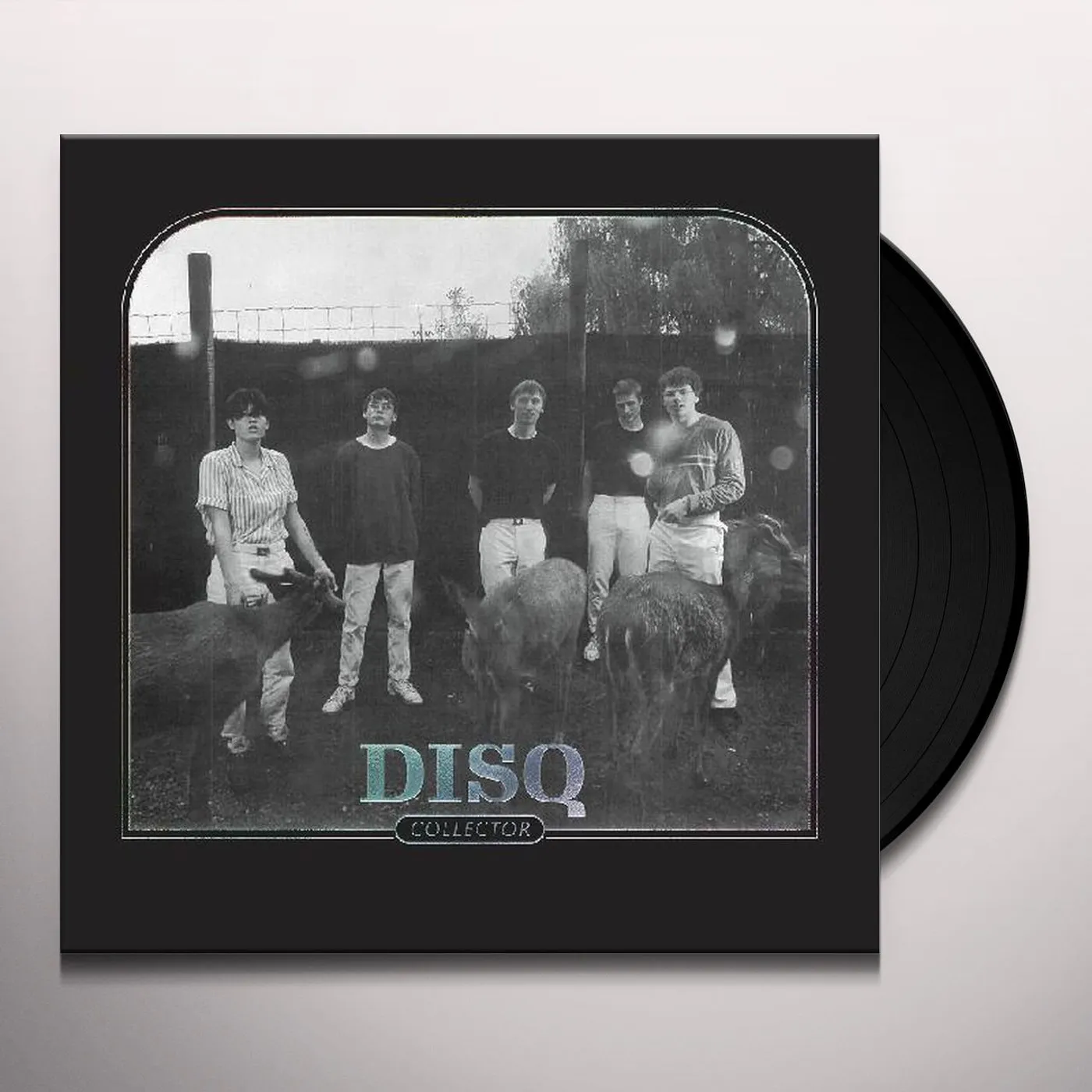 Disq Collector Vinyl Record