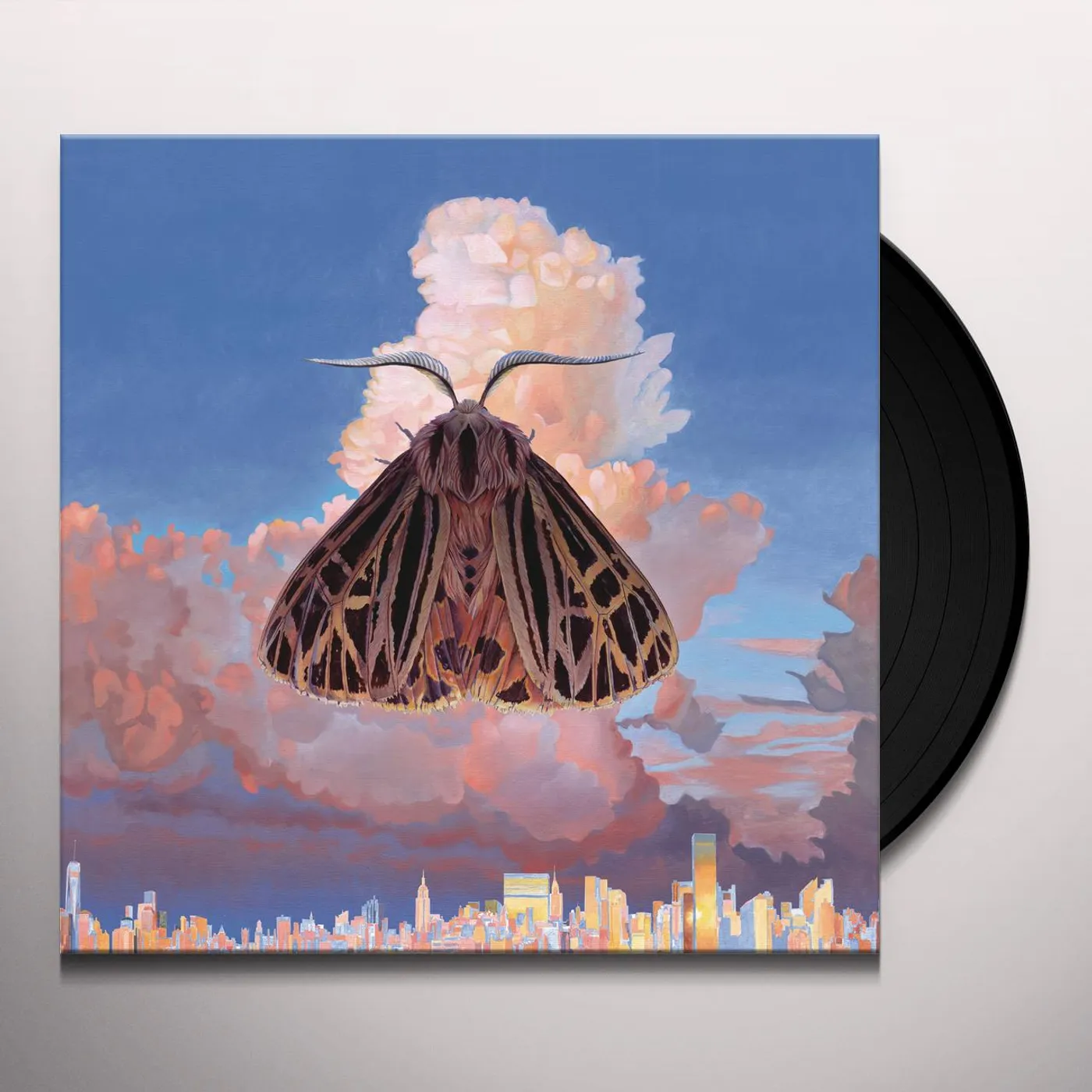 Chairlift Moth Vinyl Record