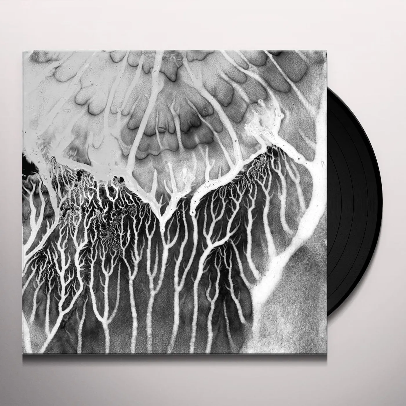 Mad Zach No Past Lives Vinyl Record
