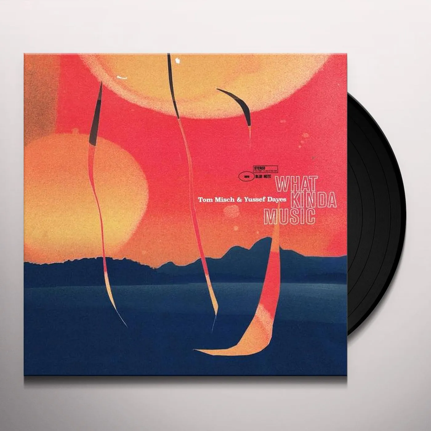 Tom Misch What Kinda Music Vinyl Record