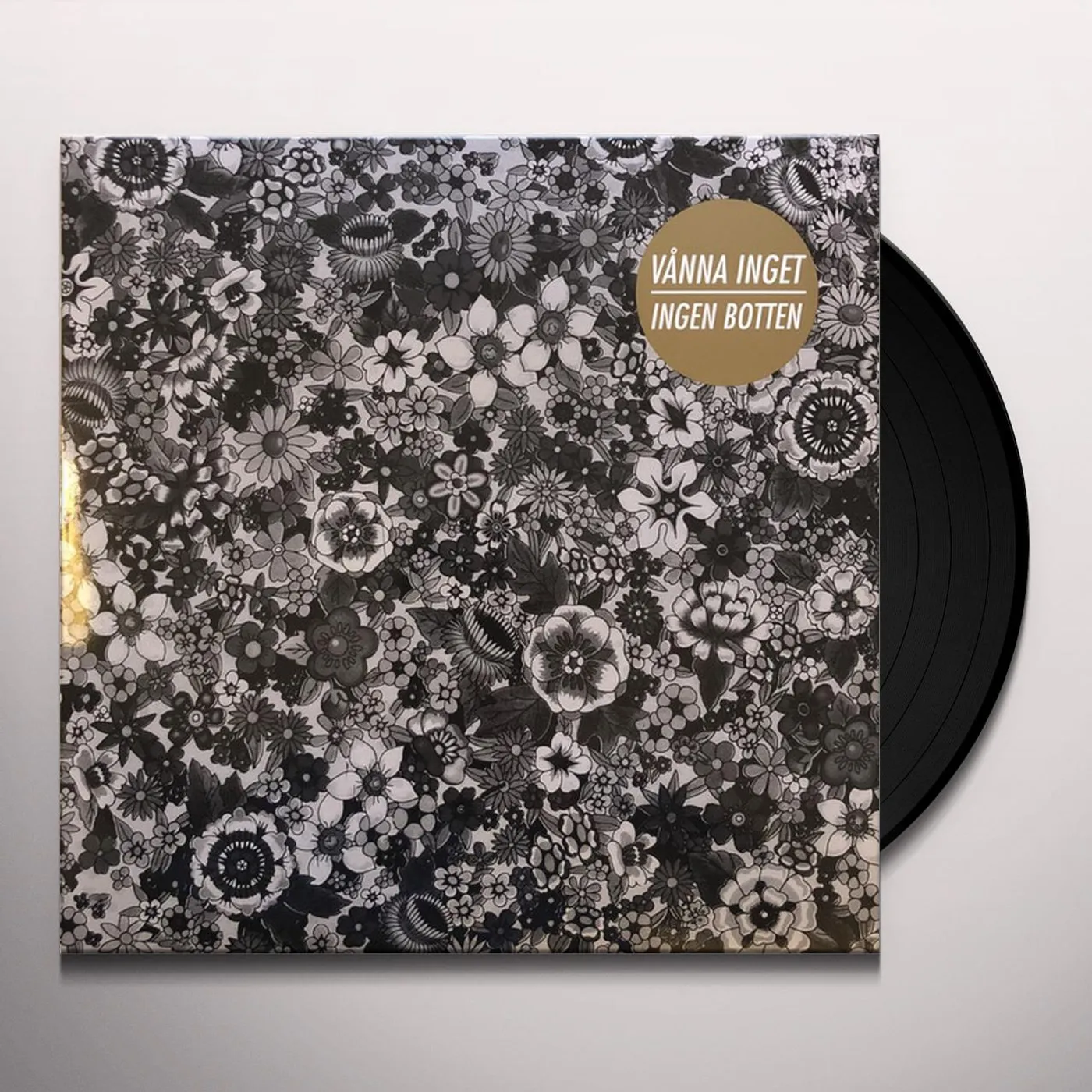 Vånna Inget Ingen Botten Vinyl Record