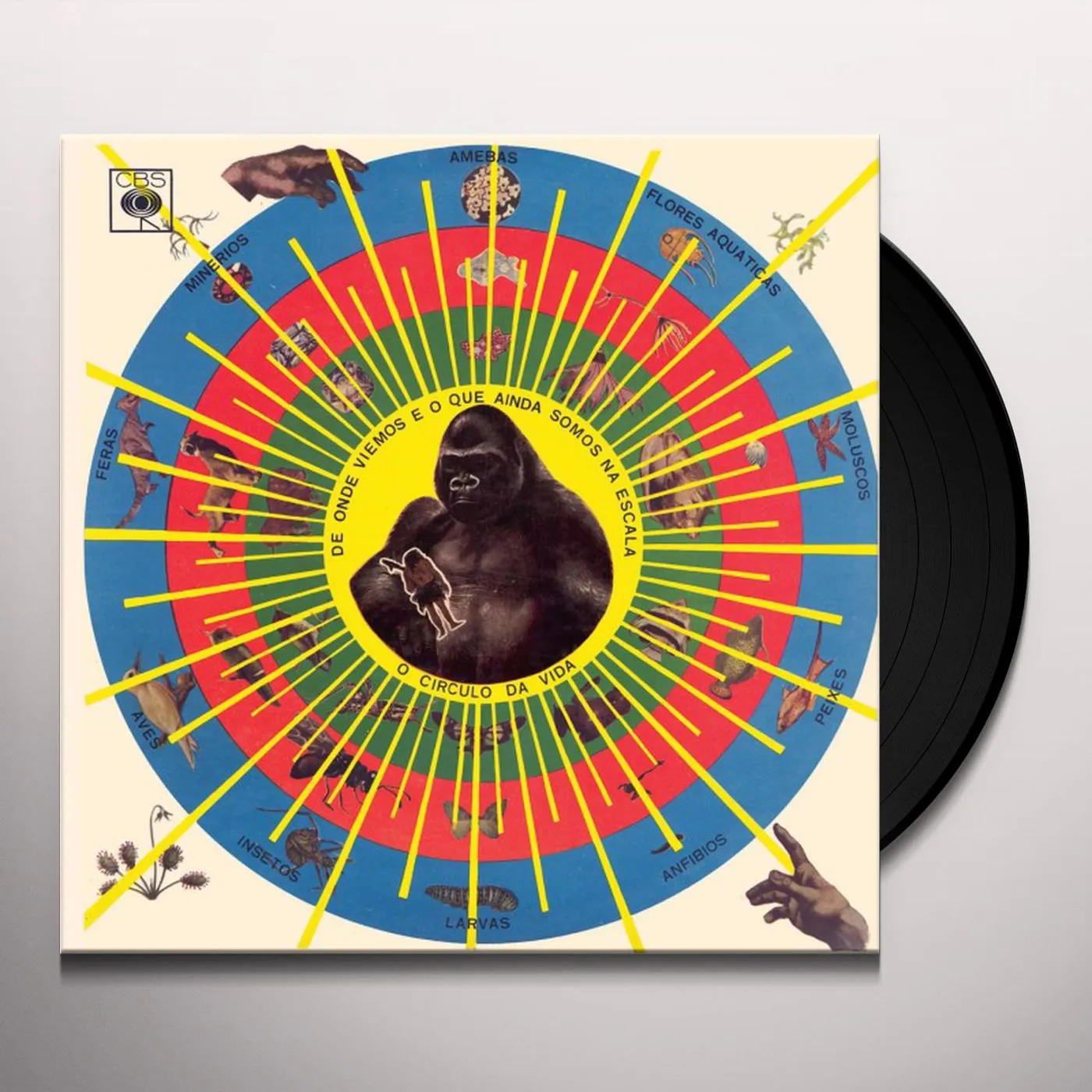 Pedro Santos Krishnanda Vinyl Record