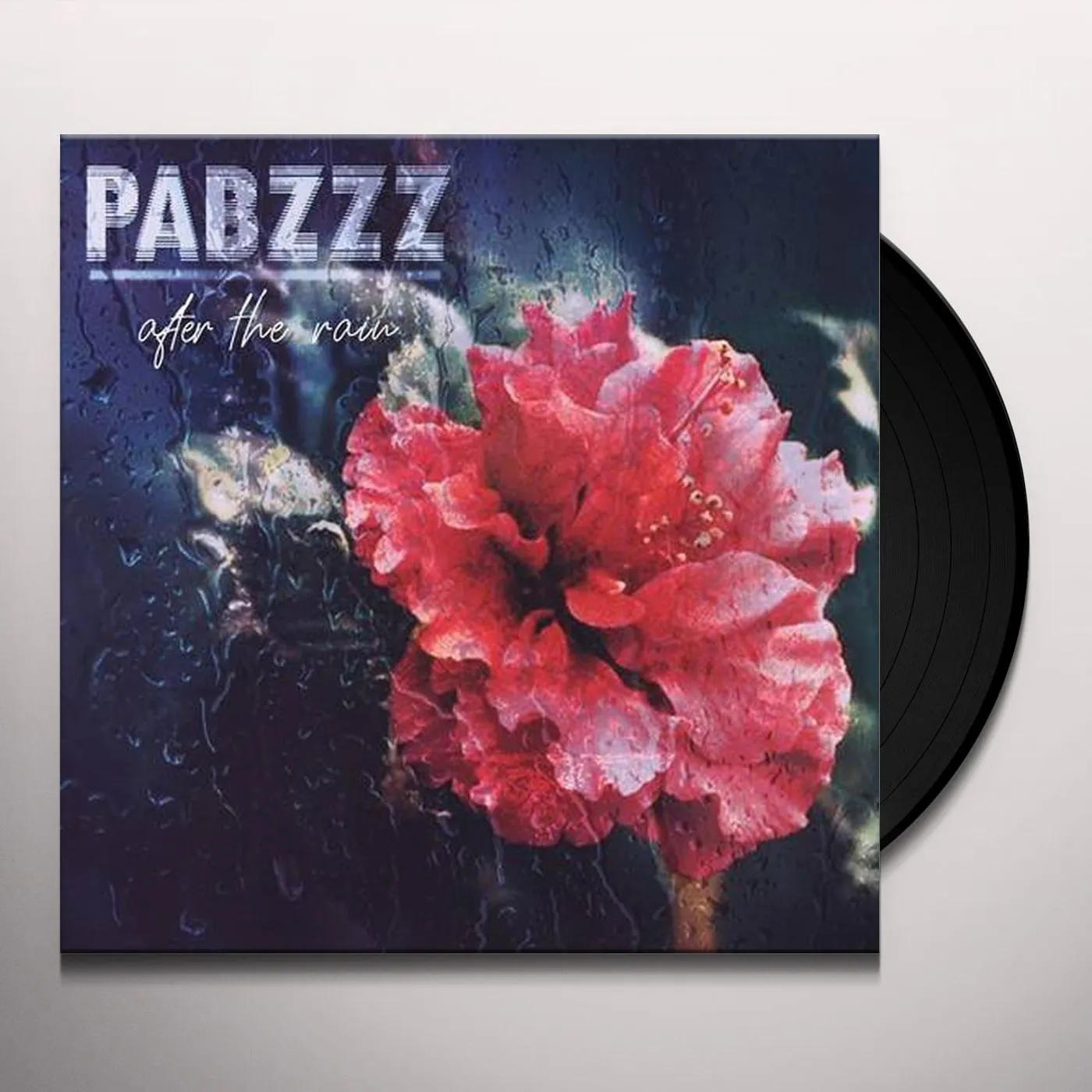 Pabzzz After The Rain Vinyl Record