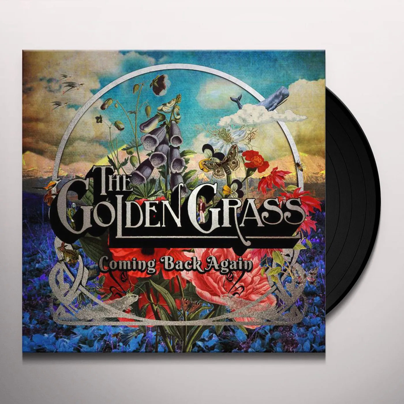 Golden Grass Coming Back Again Vinyl Record