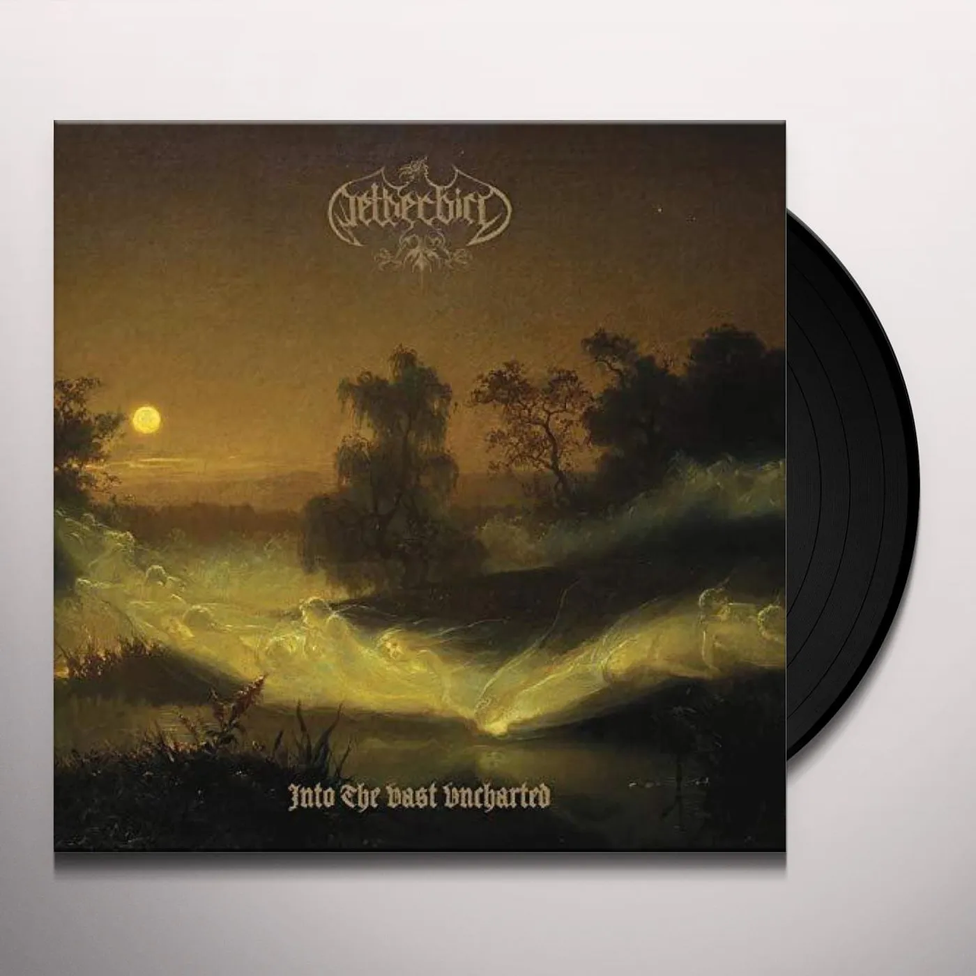 Netherbird Into the vast uncharted Vinyl Record