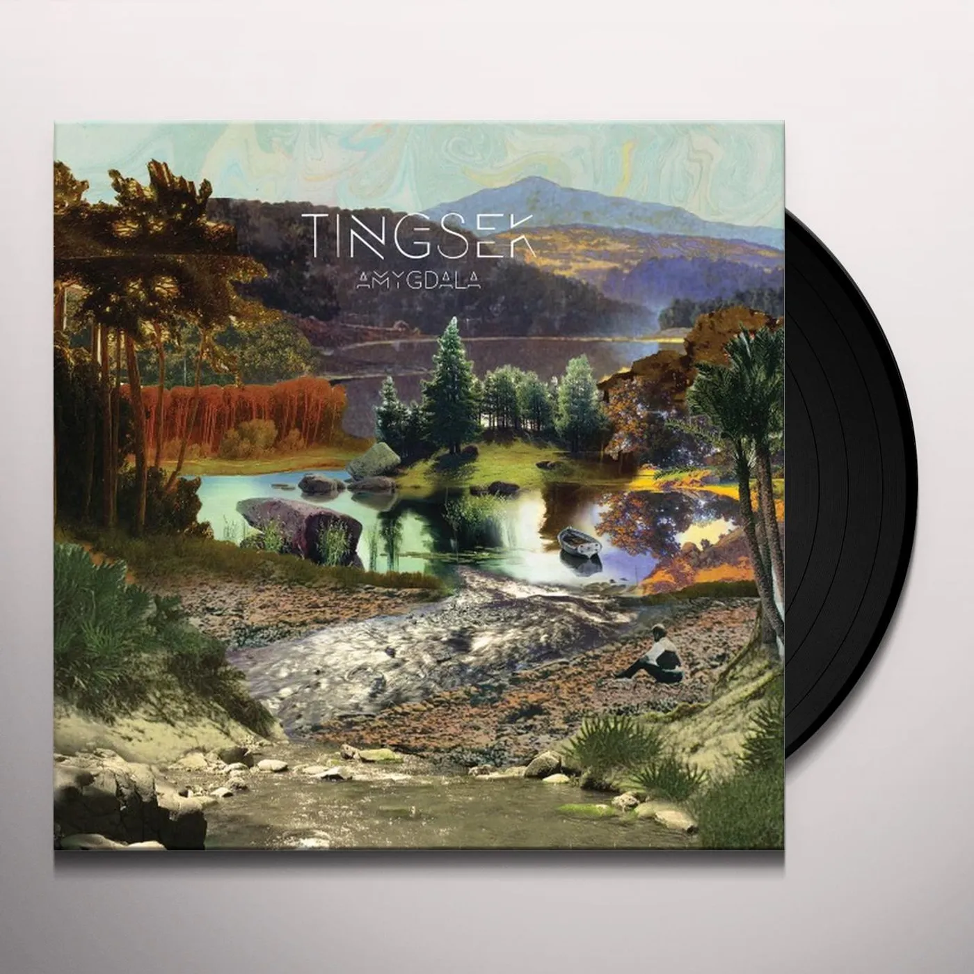 Tingsek Amygdala Vinyl Record