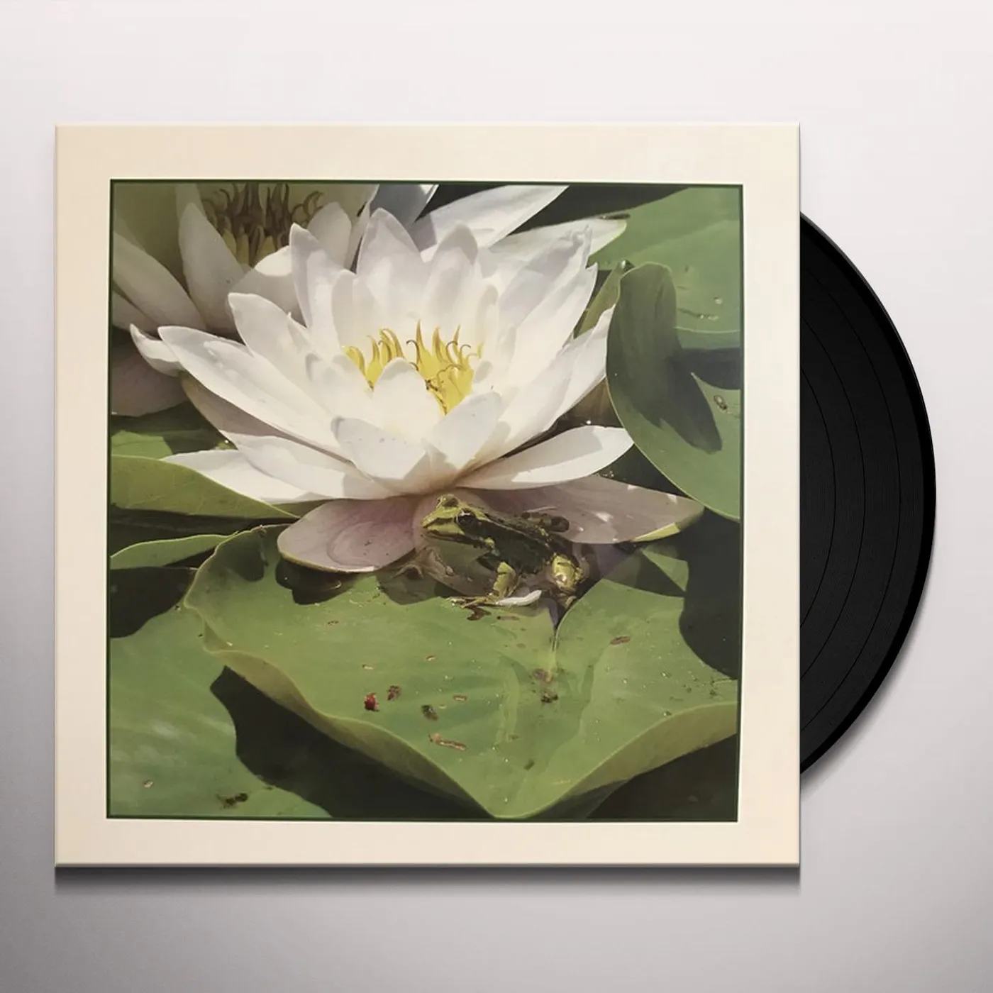 Barry Guy Frogs Vinyl Record