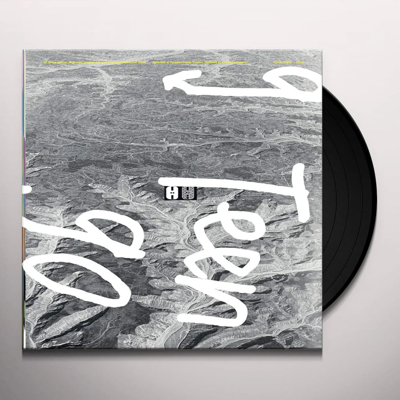 RIP Swirl 9teen90 Vinyl Record