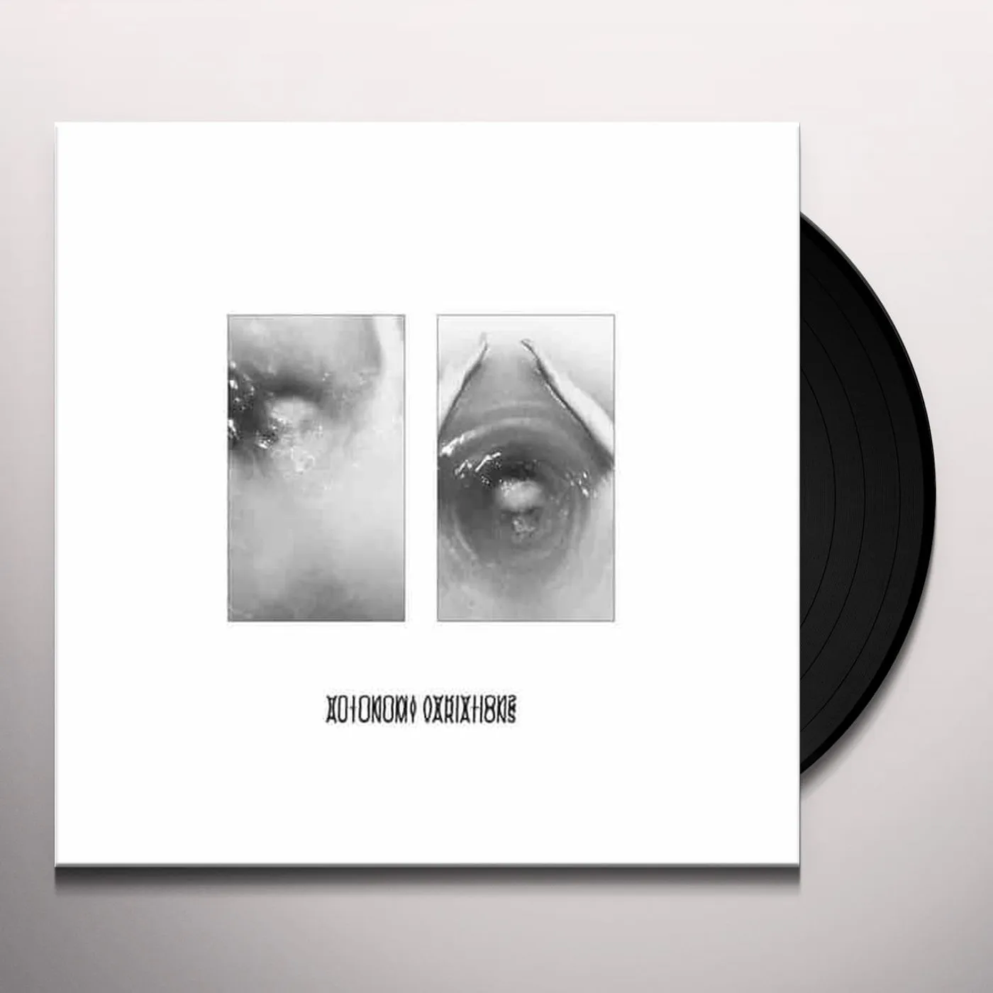 The Golden Filter Autonomy Vinyl Record